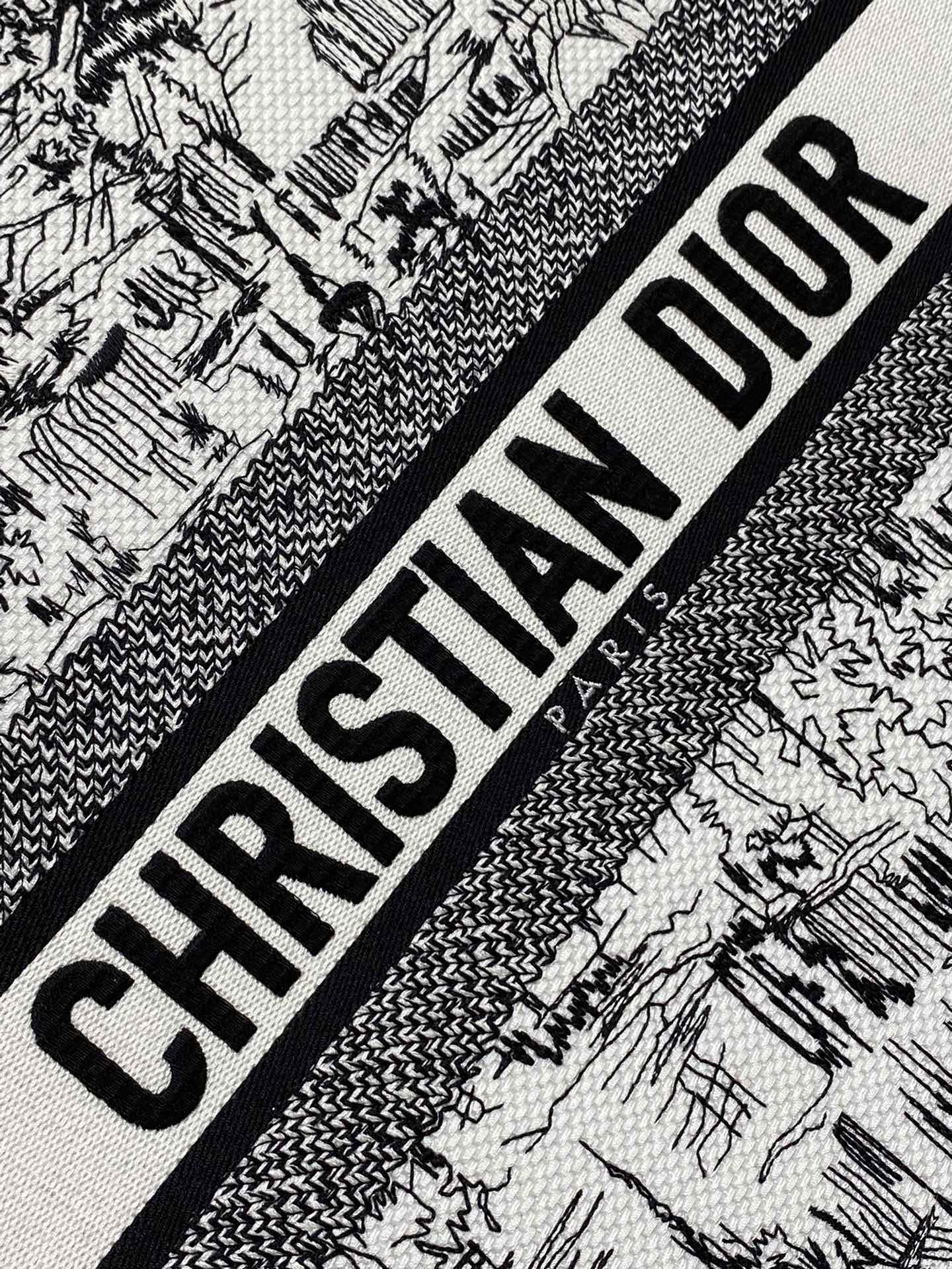 Christian Dior Book Tote Bag - White and Black Plan de Paris Embroidery