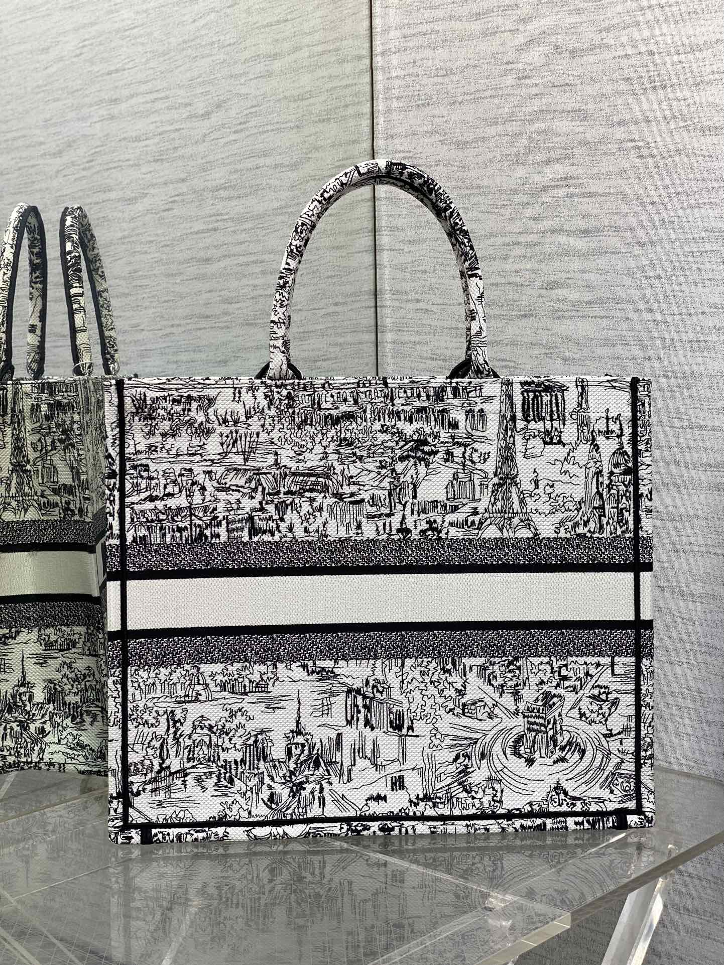 Christian Dior Book Tote Bag - White and Black Plan de Paris Embroidery