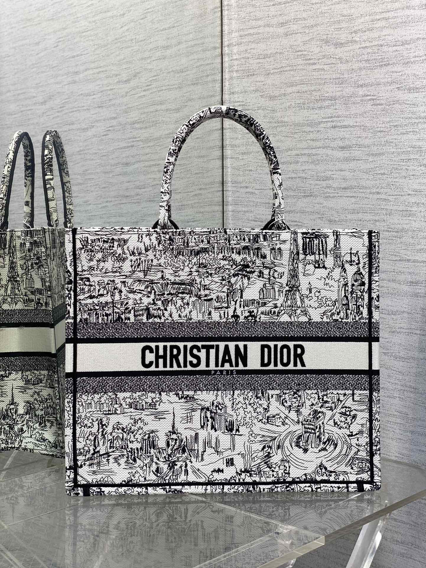 Christian Dior Book Tote Bag - White and Black Plan de Paris Embroidery