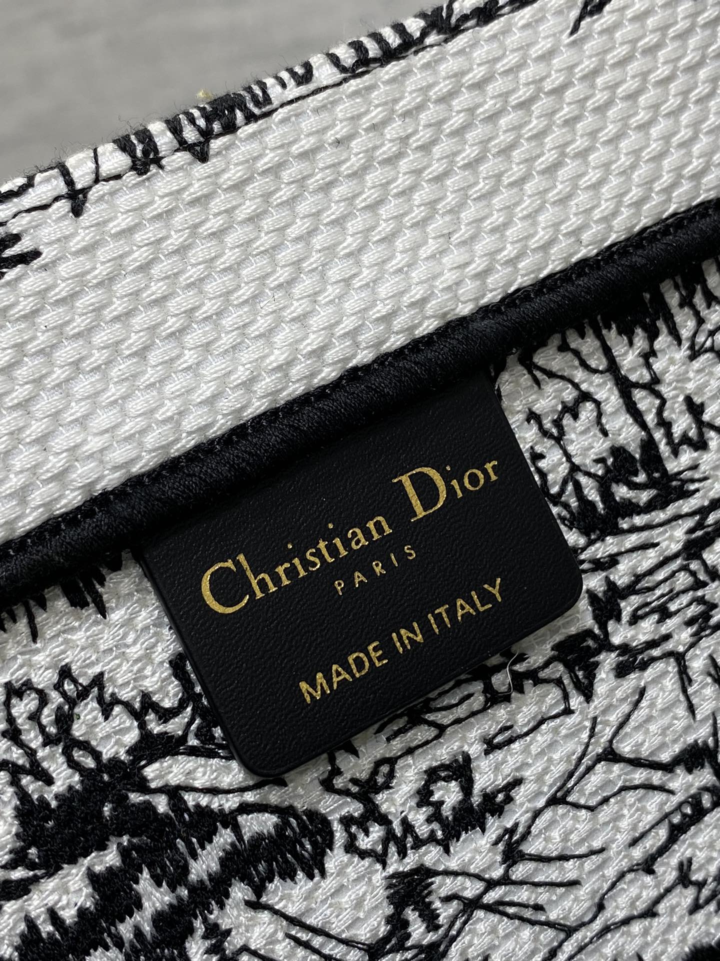 Christian Dior Book Tote Black and White Landscape Embroidery Handbag