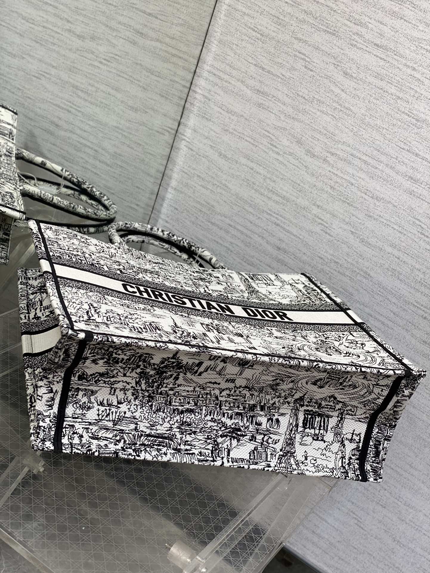Christian Dior Book Tote Bag - White and Black Plan de Paris Embroidery