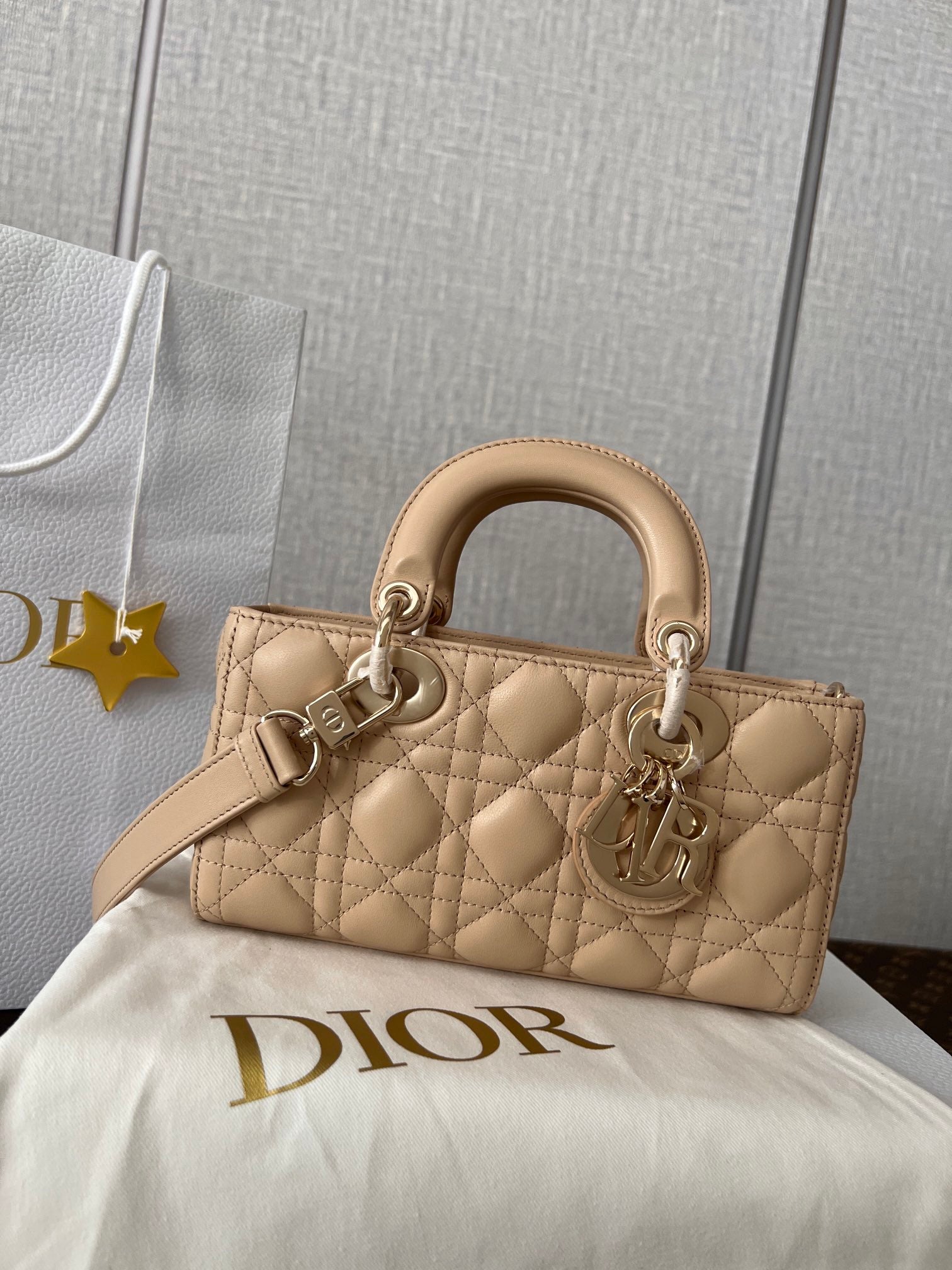 Christian Dior Lady D-Joy Bag Beige Cannage Lambskin Small Handbag