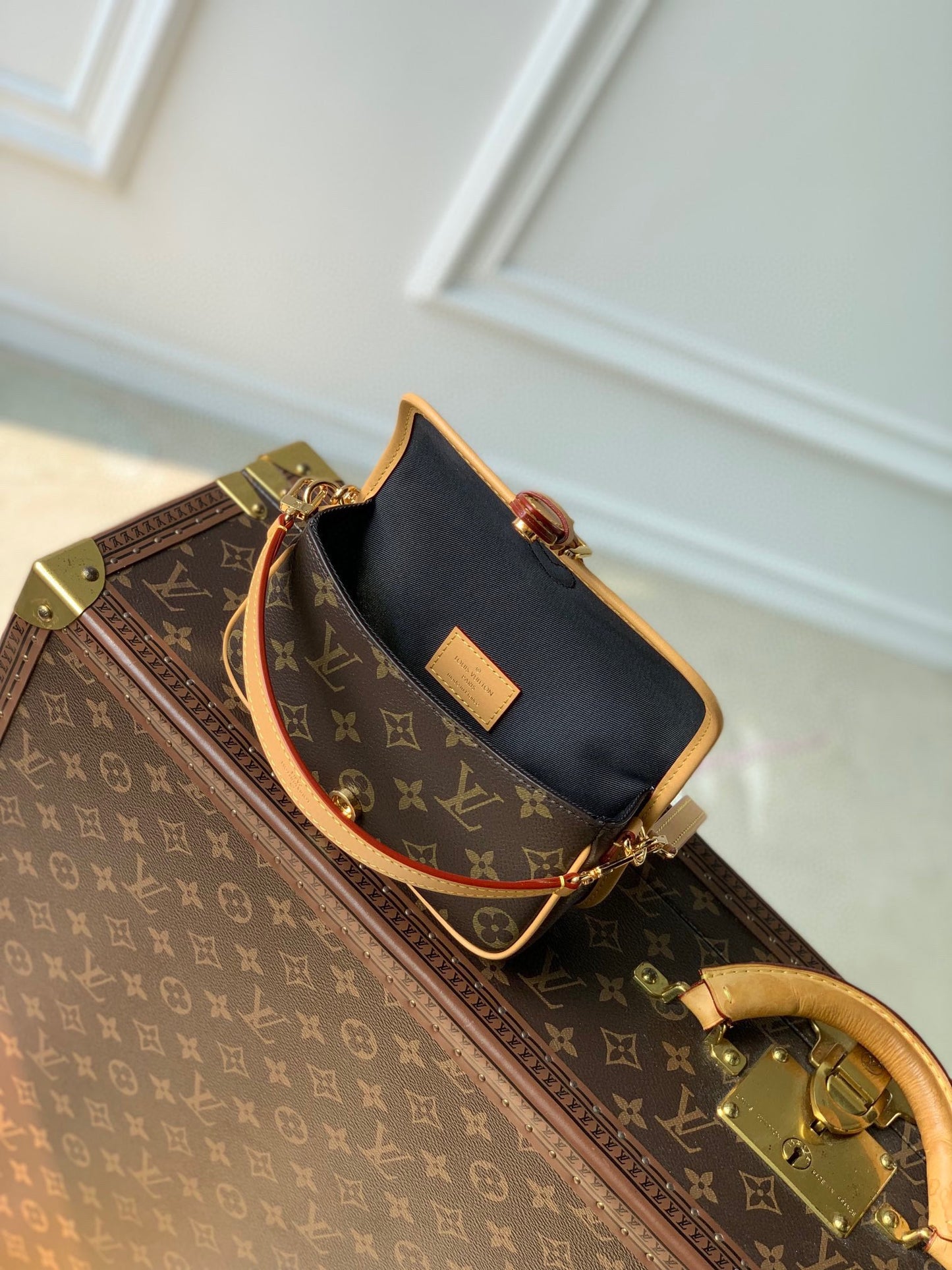 Louis Vuitton Nano Diane Monogram Canvas Handbag