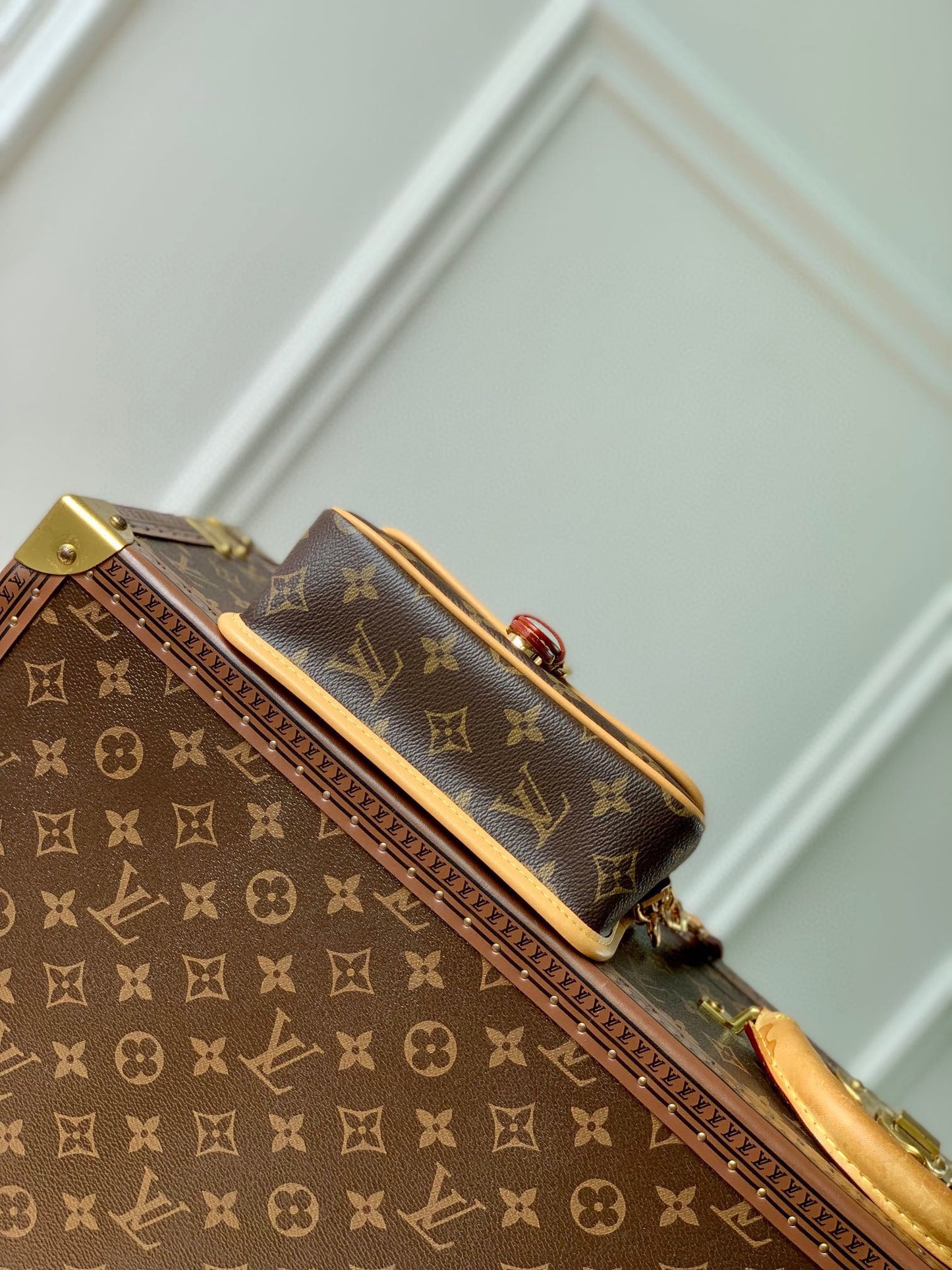 Louis Vuitton Nano Diane Monogram Canvas Handbag