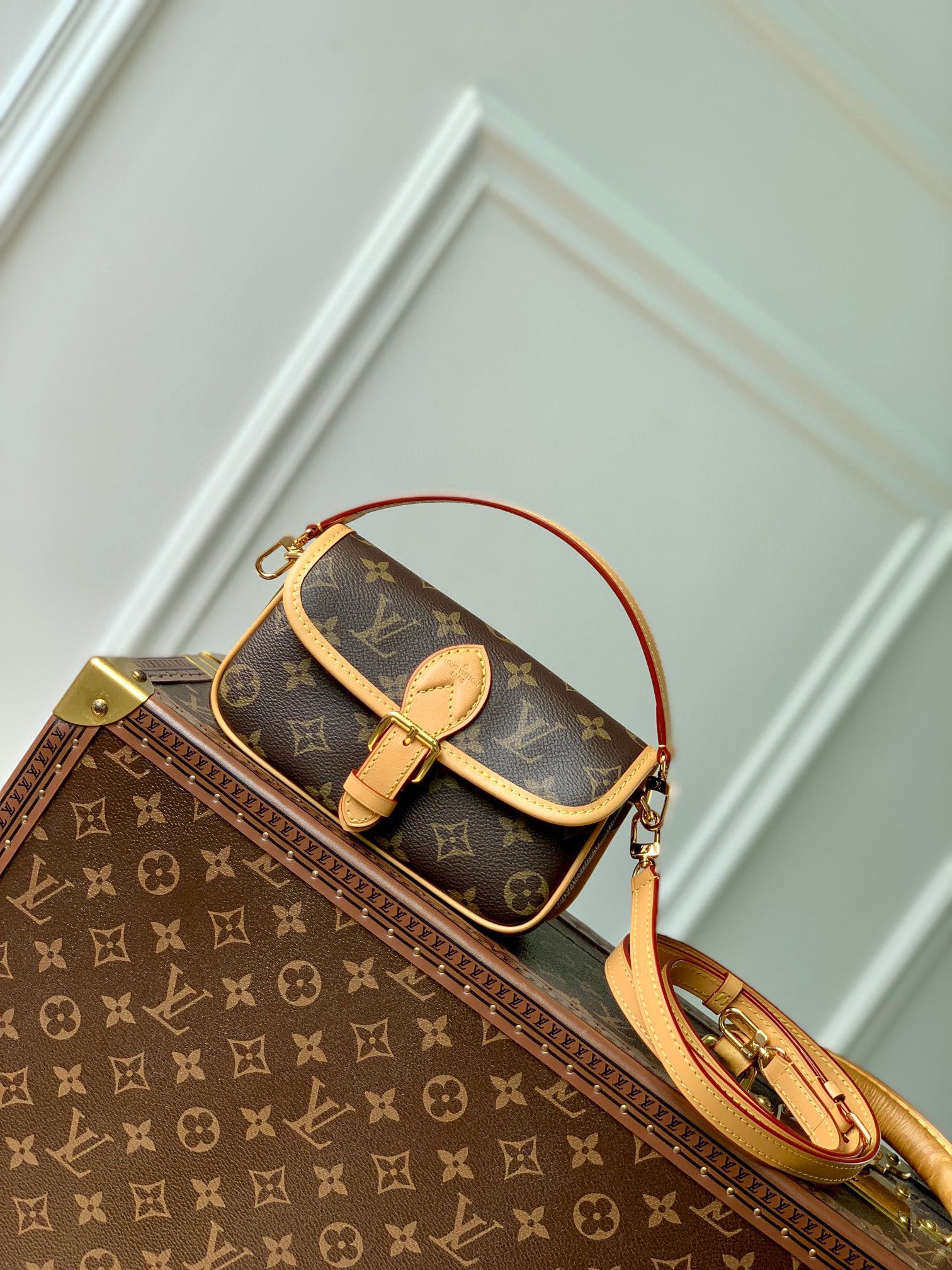 Louis Vuitton Nano Diane Monogram Canvas Handbag