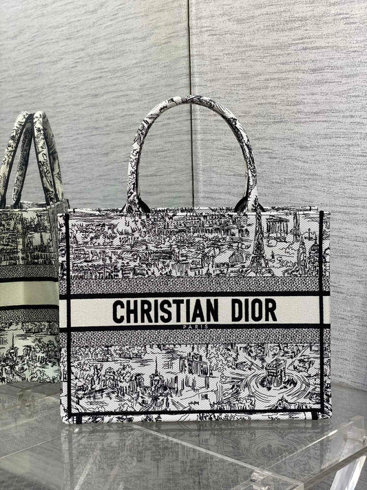 Christian Dior Medium Book Tote Plan de Paris Embroidery