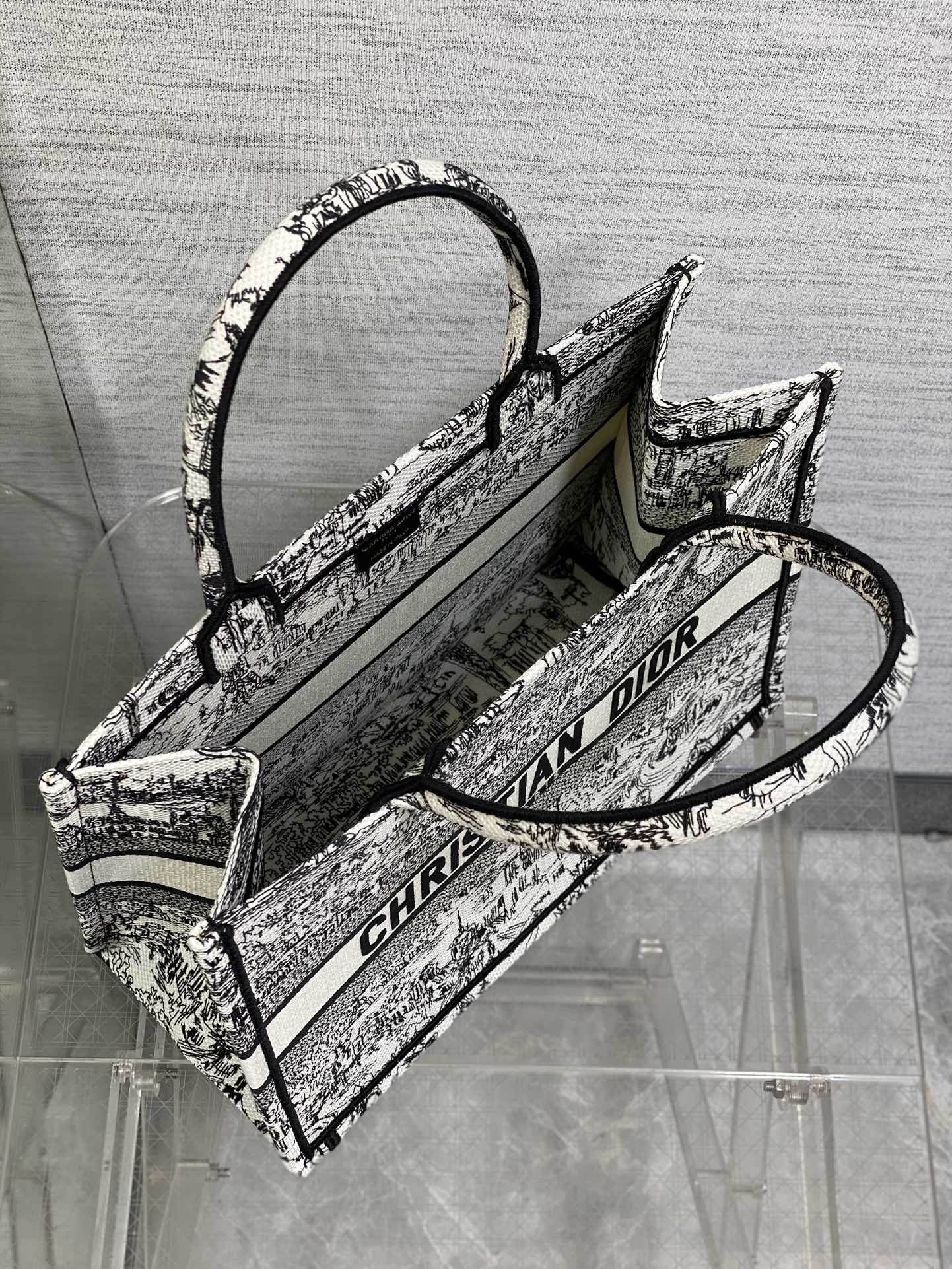 Christian Dior Medium Book Tote Plan de Paris Embroidery