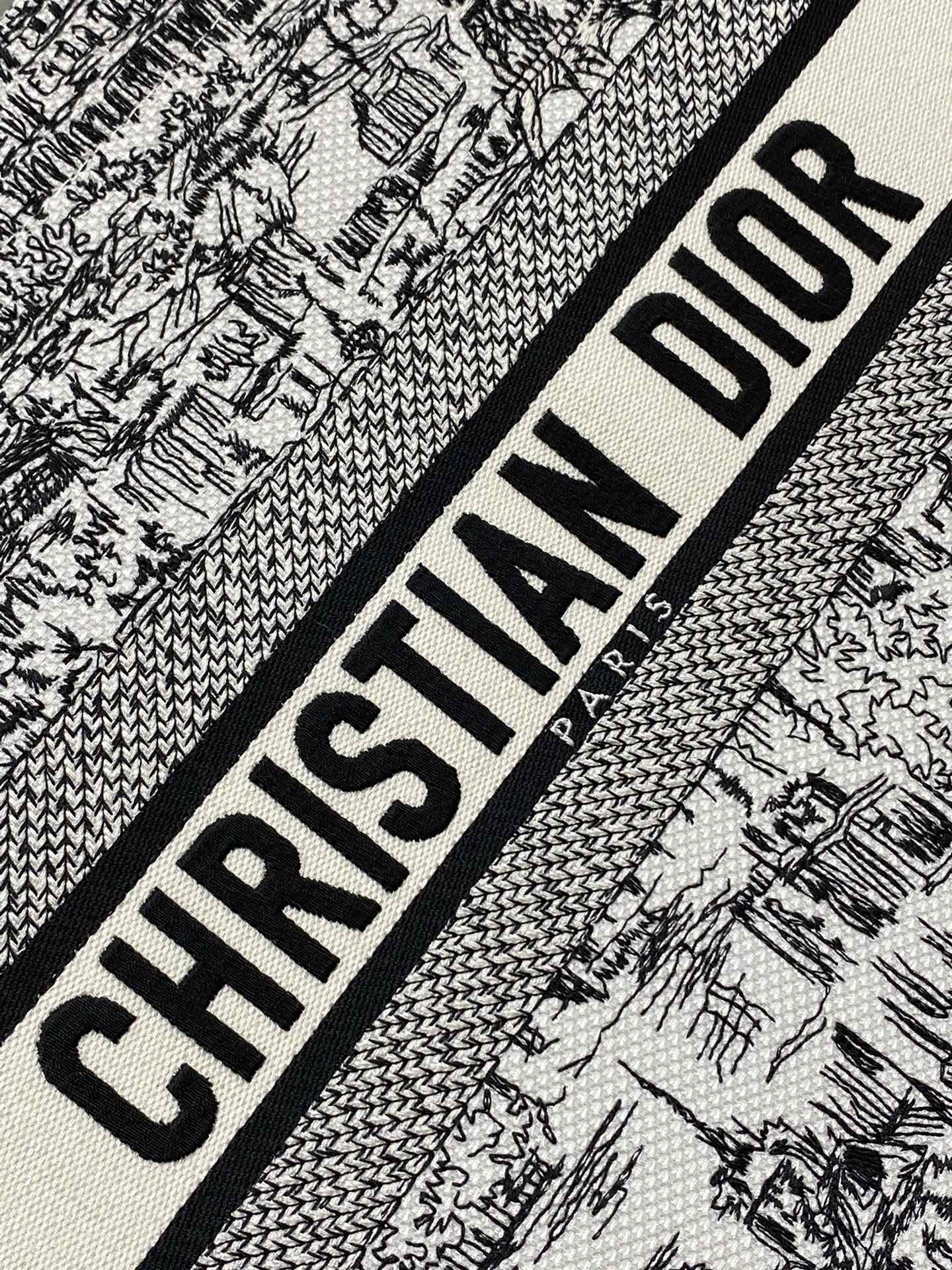 Christian Dior Medium Book Tote Plan de Paris Embroidery