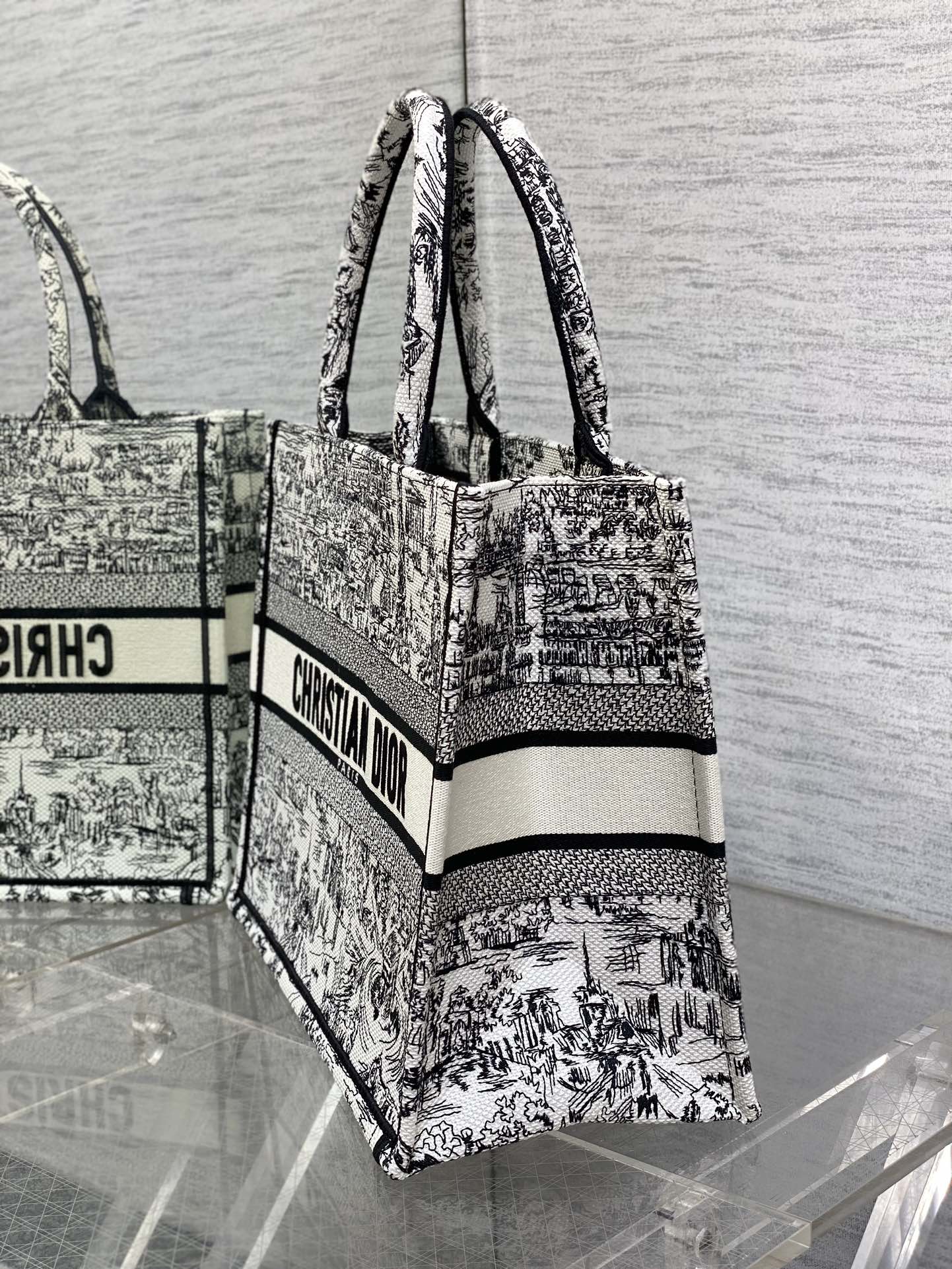Dior Parisian Toile Scenic Print Large Canvas Tote Handbag