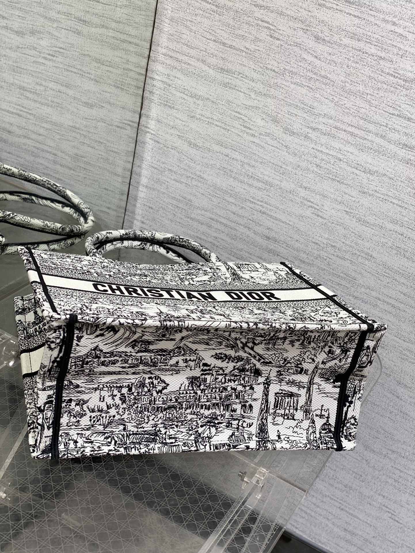 Christian Dior Medium Book Tote Plan de Paris Embroidery
