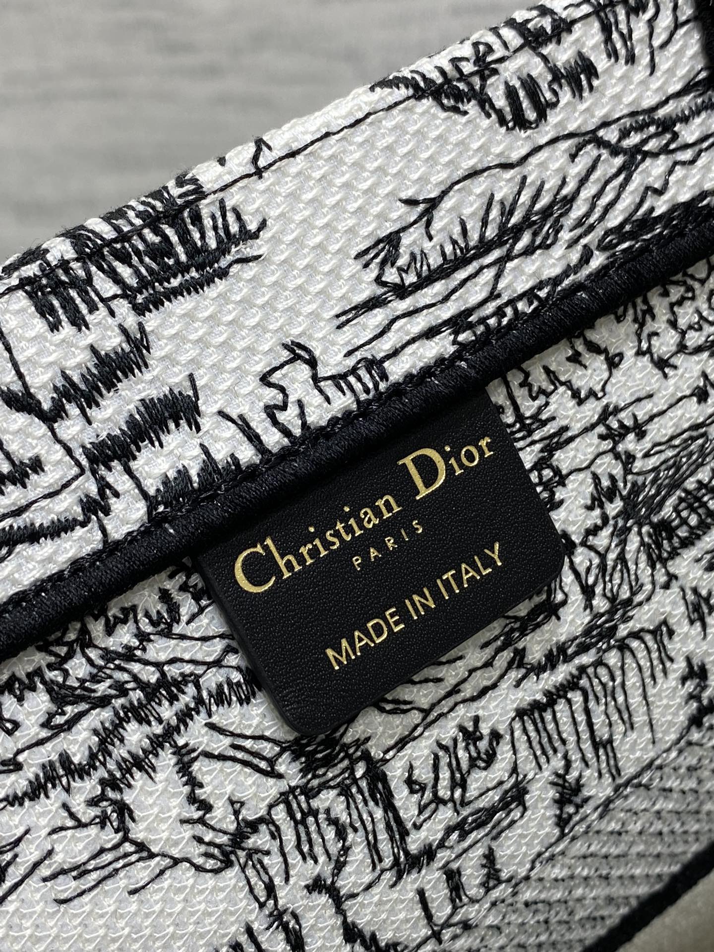 Dior Parisian Toile Scenic Print Large Canvas Tote Handbag