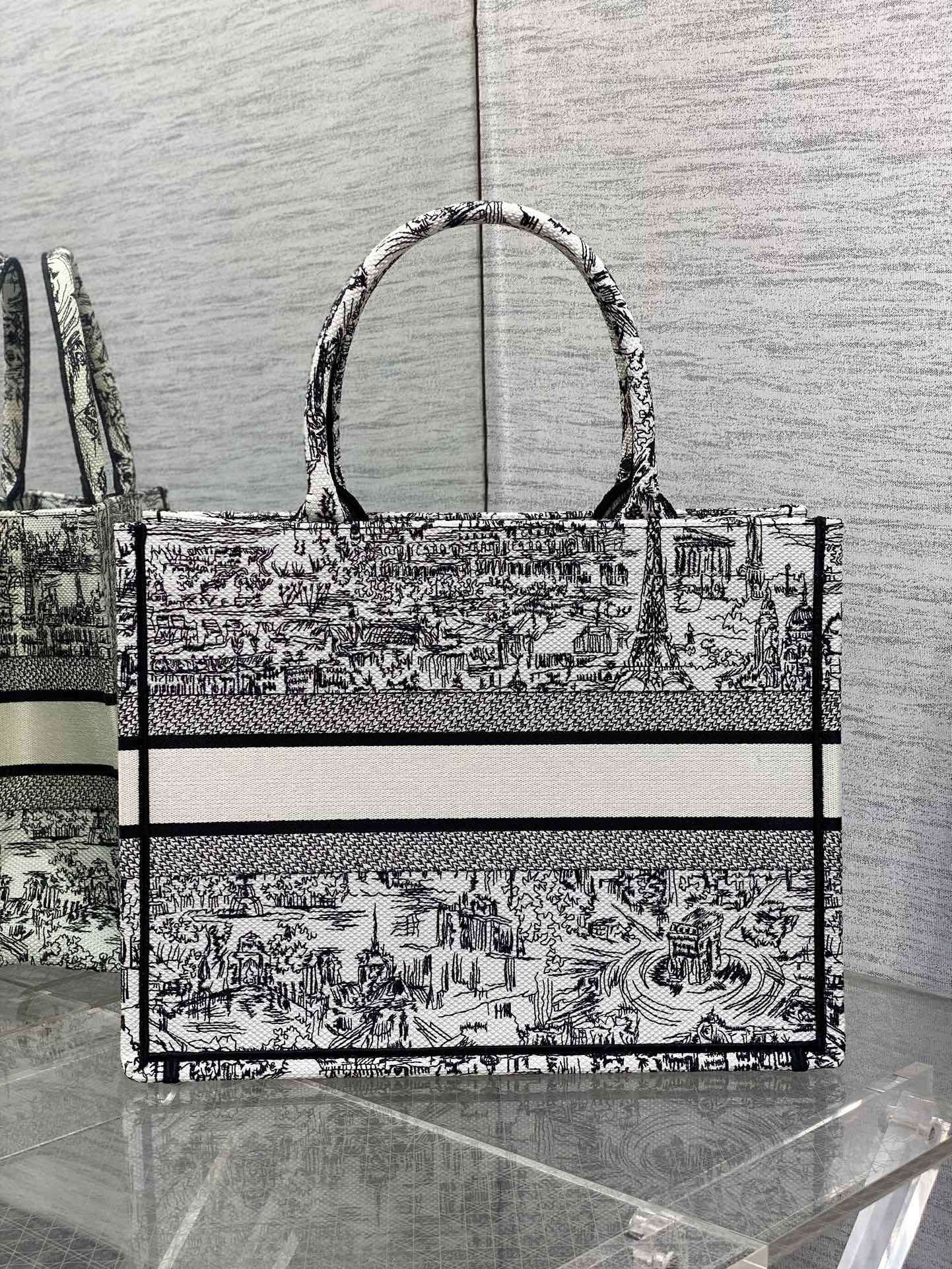 Christian Dior Medium Book Tote Plan de Paris Embroidery