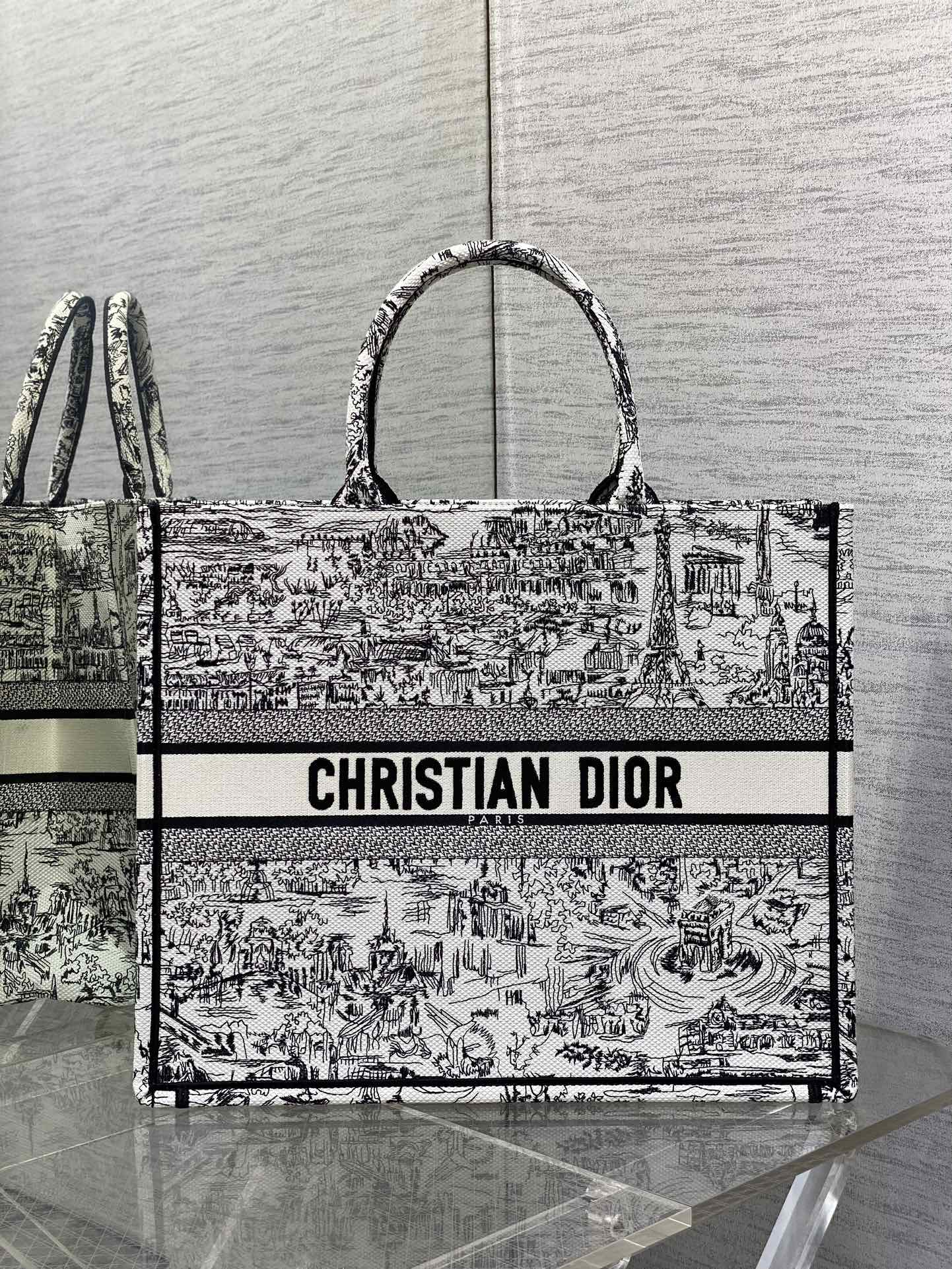 Christian Dior Large Book Tote Bag - White and Black Plan de Paris Embroidery