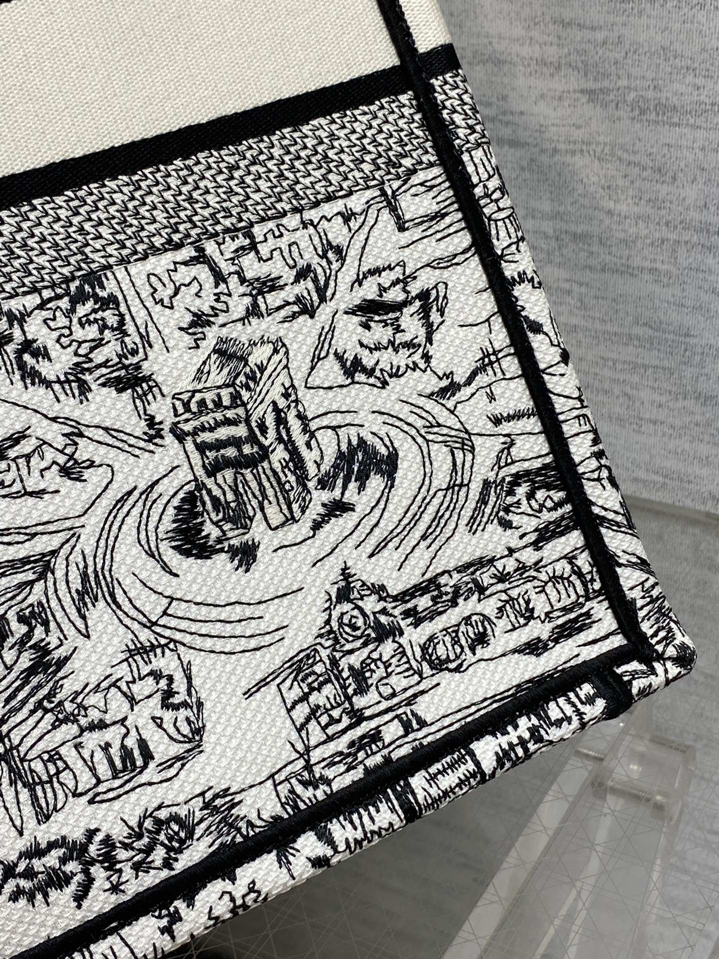 Christian Dior Large Book Tote Bag - White and Black Plan de Paris Embroidery