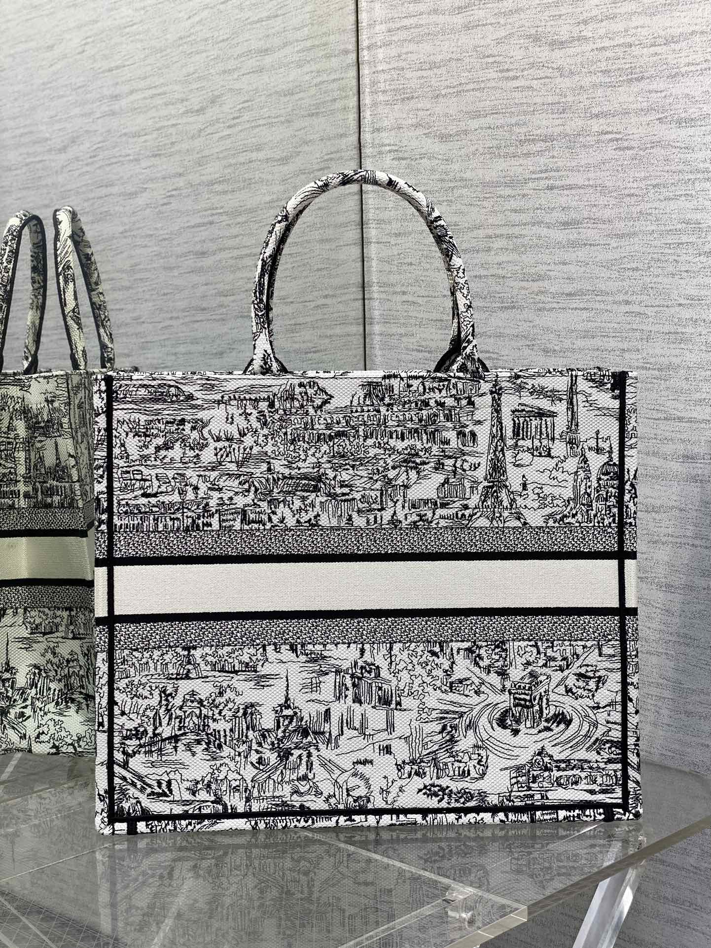 Christian Dior Large Book Tote Bag - White and Black Plan de Paris Embroidery