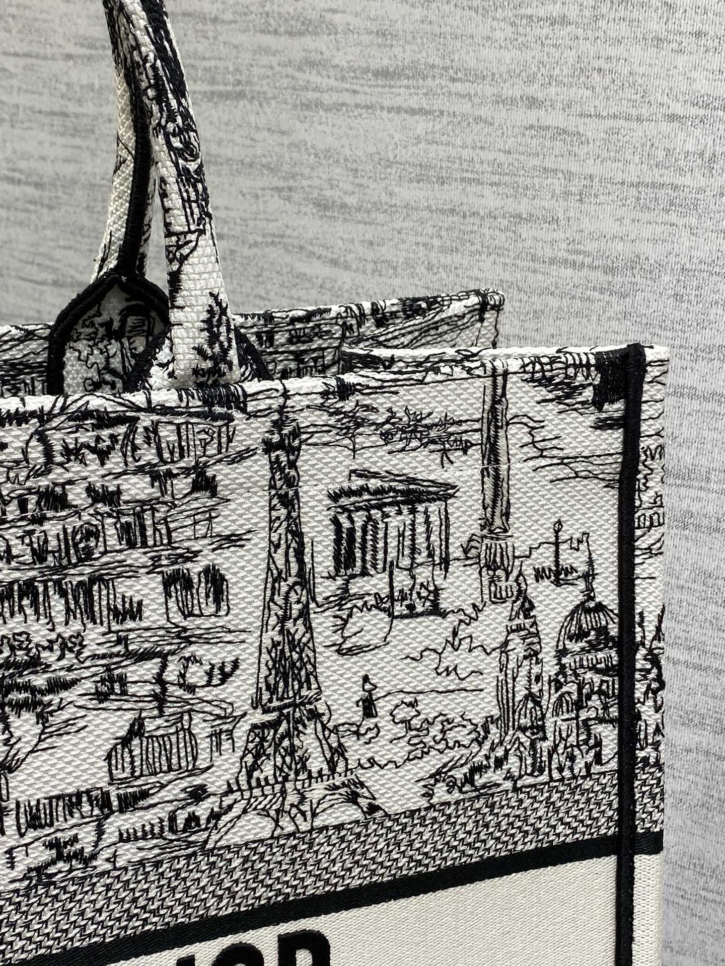 Christian Dior Large Book Tote Bag - White and Black Plan de Paris Embroidery