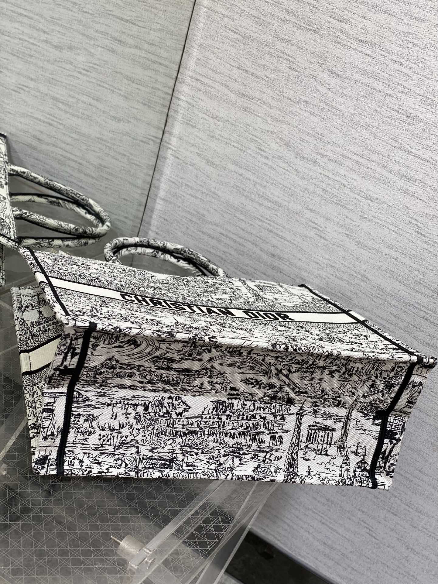 Christian Dior Large Book Tote Bag - White and Black Plan de Paris Embroidery