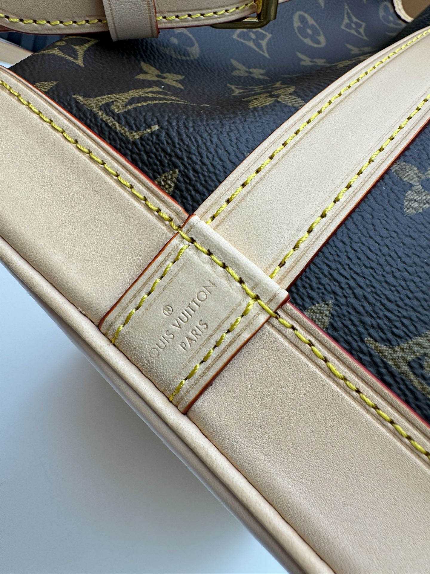 Louis Vuitton Monogram Canvas Nano Noé Bucket Bag