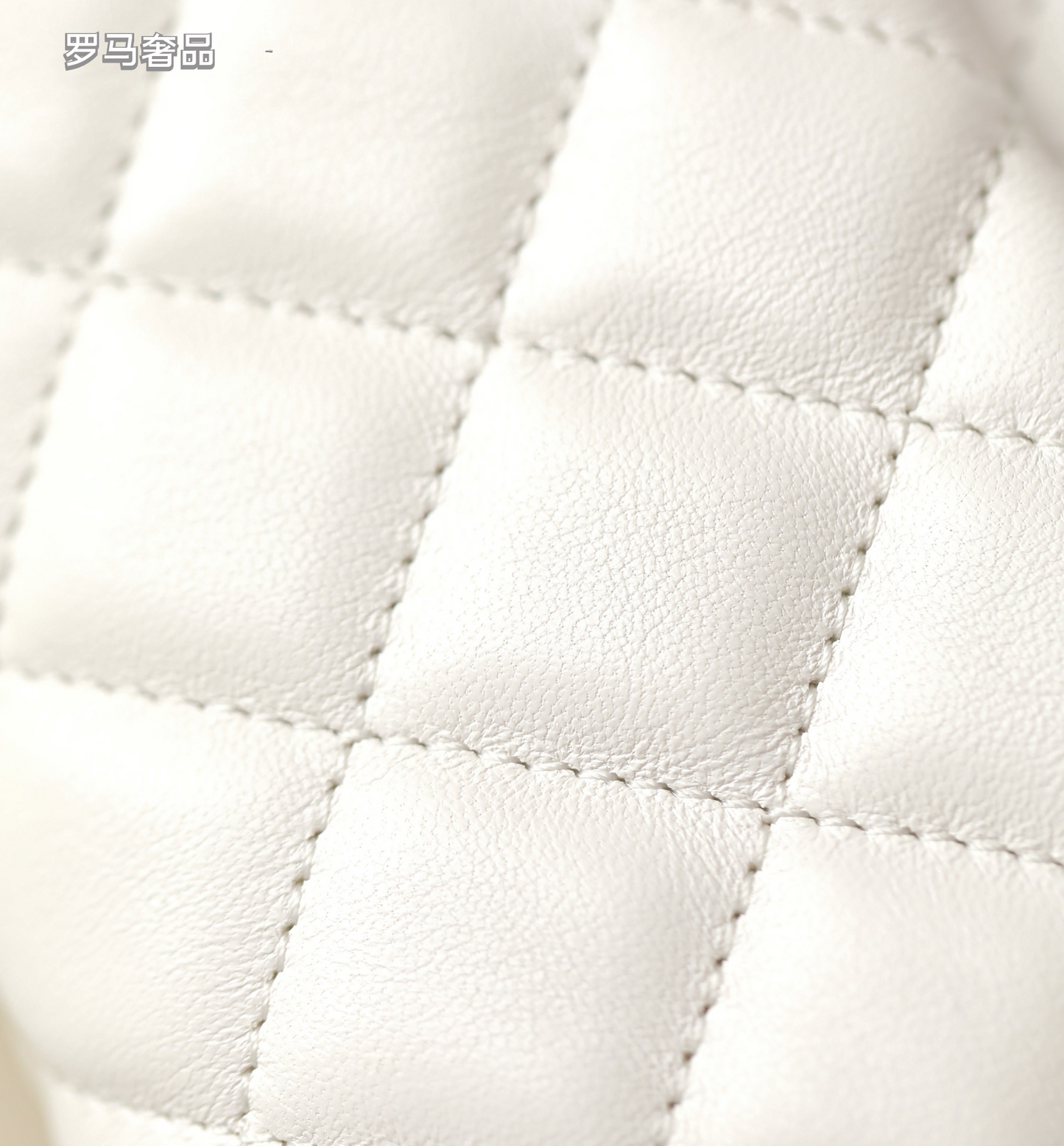 Elegant White Quilted Leather Mini Flap Shoulder Bag with Gold-Tone Hardware