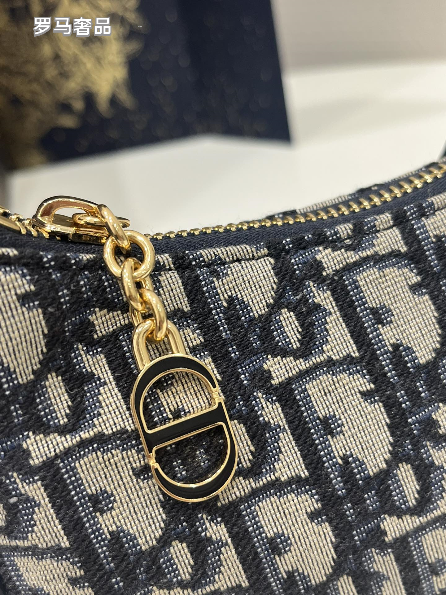 Dior Small Hobo Bag Blue Oblique Jacquard Canvas Shoulder Bag