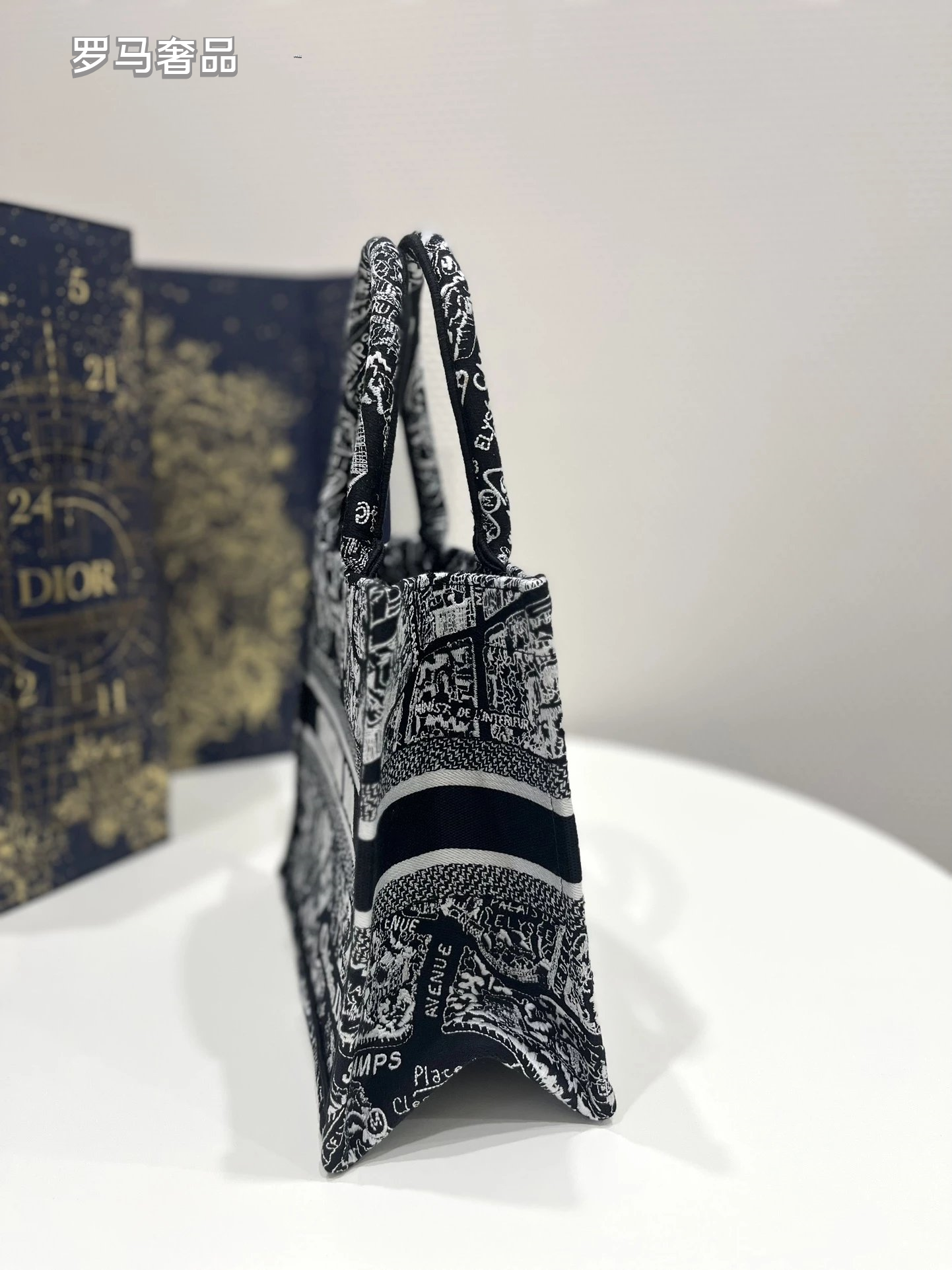 Christian Dior Plan de Paris Book Tote Bag - Black and White Embroidered Canvas