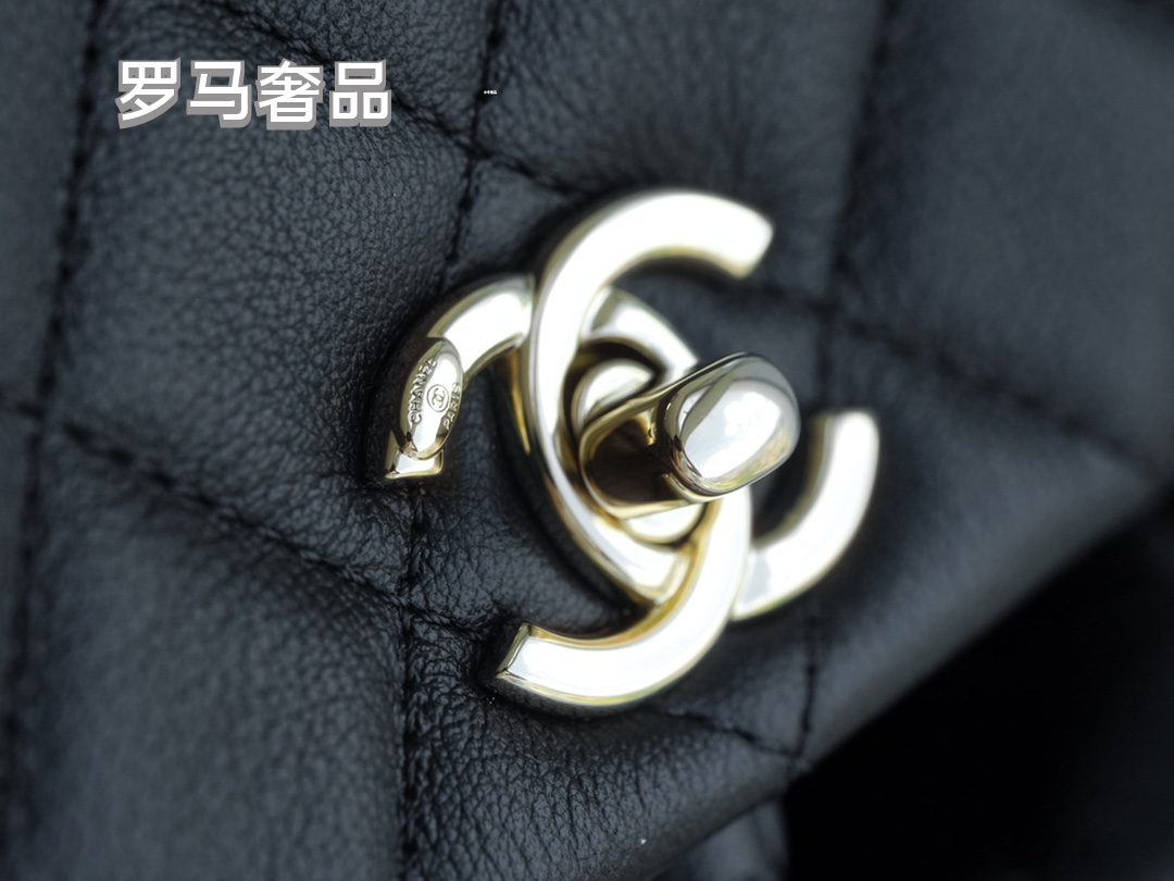 Chanel Quilted Lambskin Duma Backpack - Black with Gold-Tone Hardware
