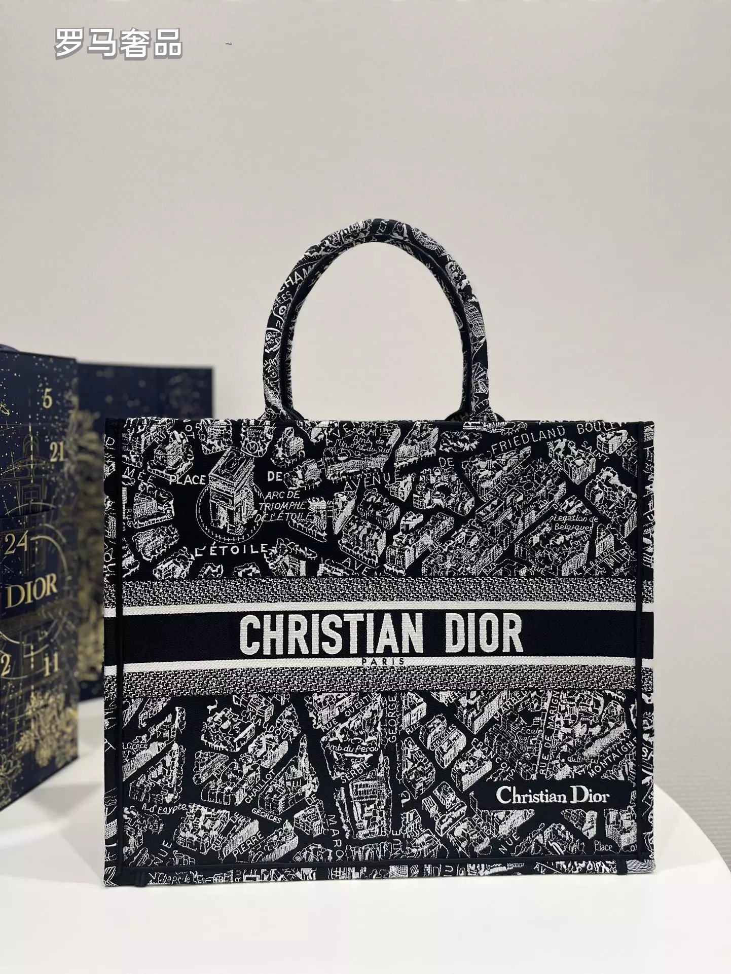 Christian Dior Plan de Paris Book Tote Bag - Black and White Embroidered Canvas
