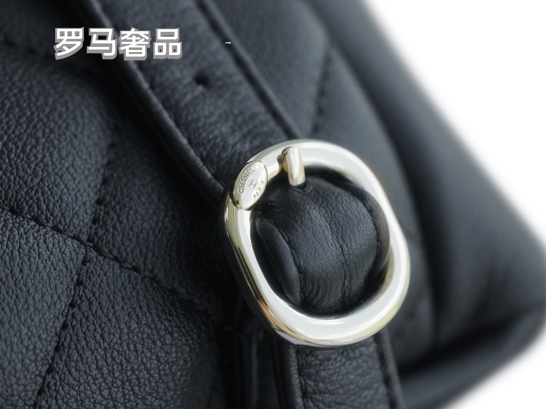 Chanel Quilted Lambskin Duma Backpack - Black with Gold-Tone Hardware