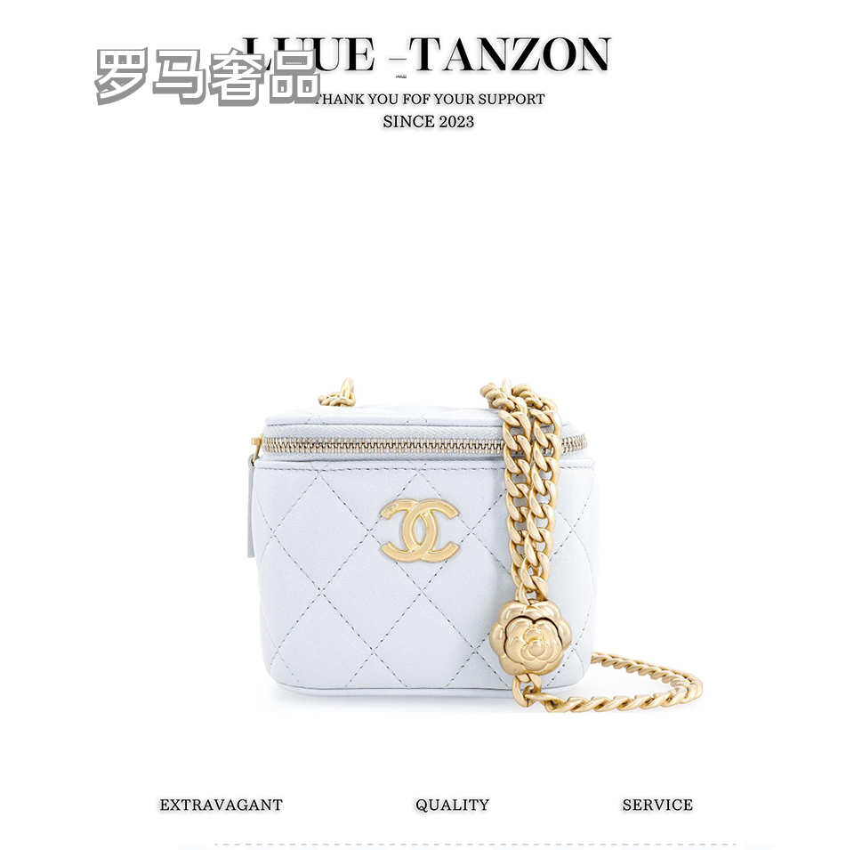 Small Quilted Vanity Bag with Gold Chain Strap - White Luxury Crossbody Case