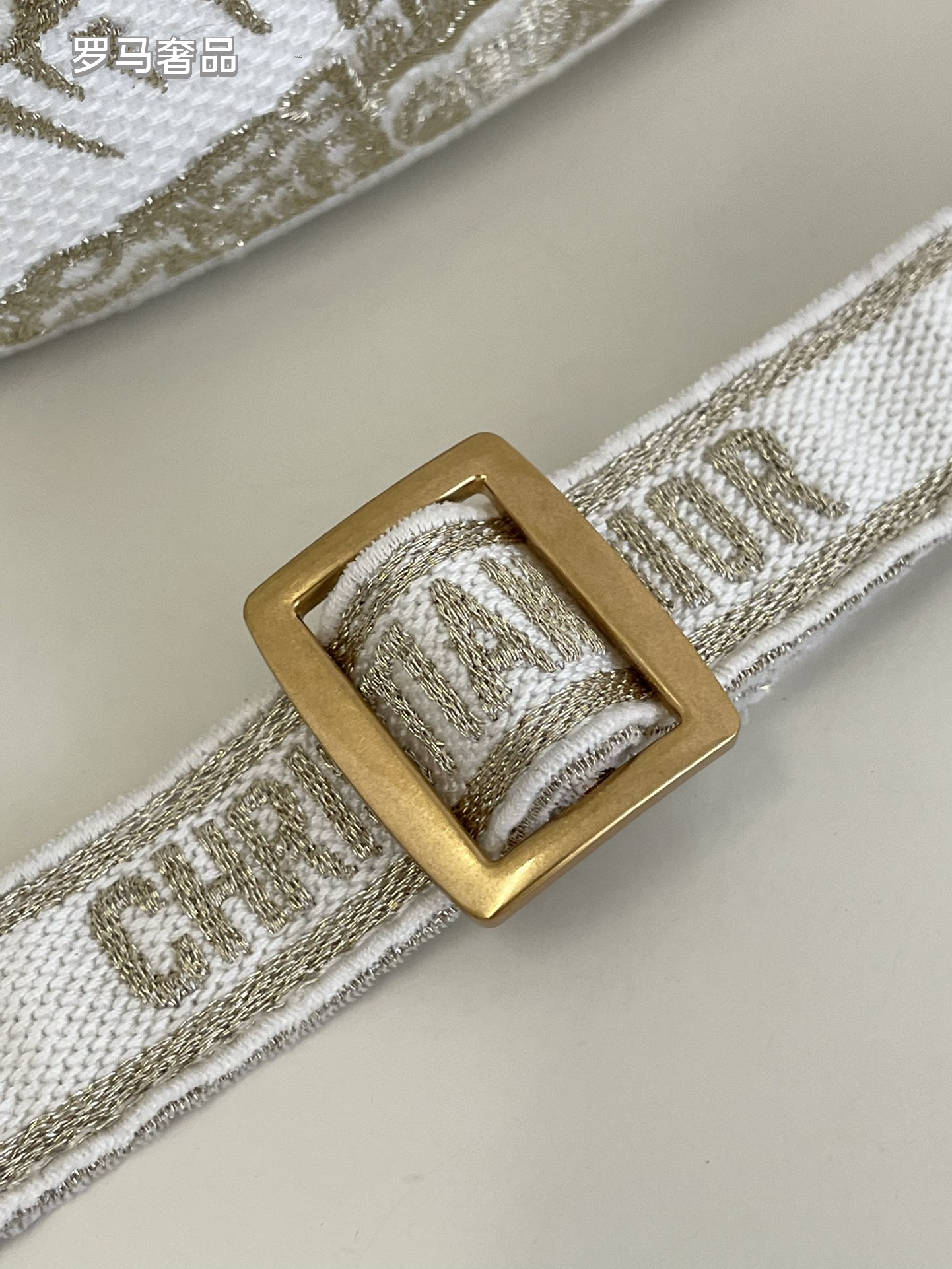 Christian Dior Small Canvas Tote Bag with Butterfly Print - White/Gold