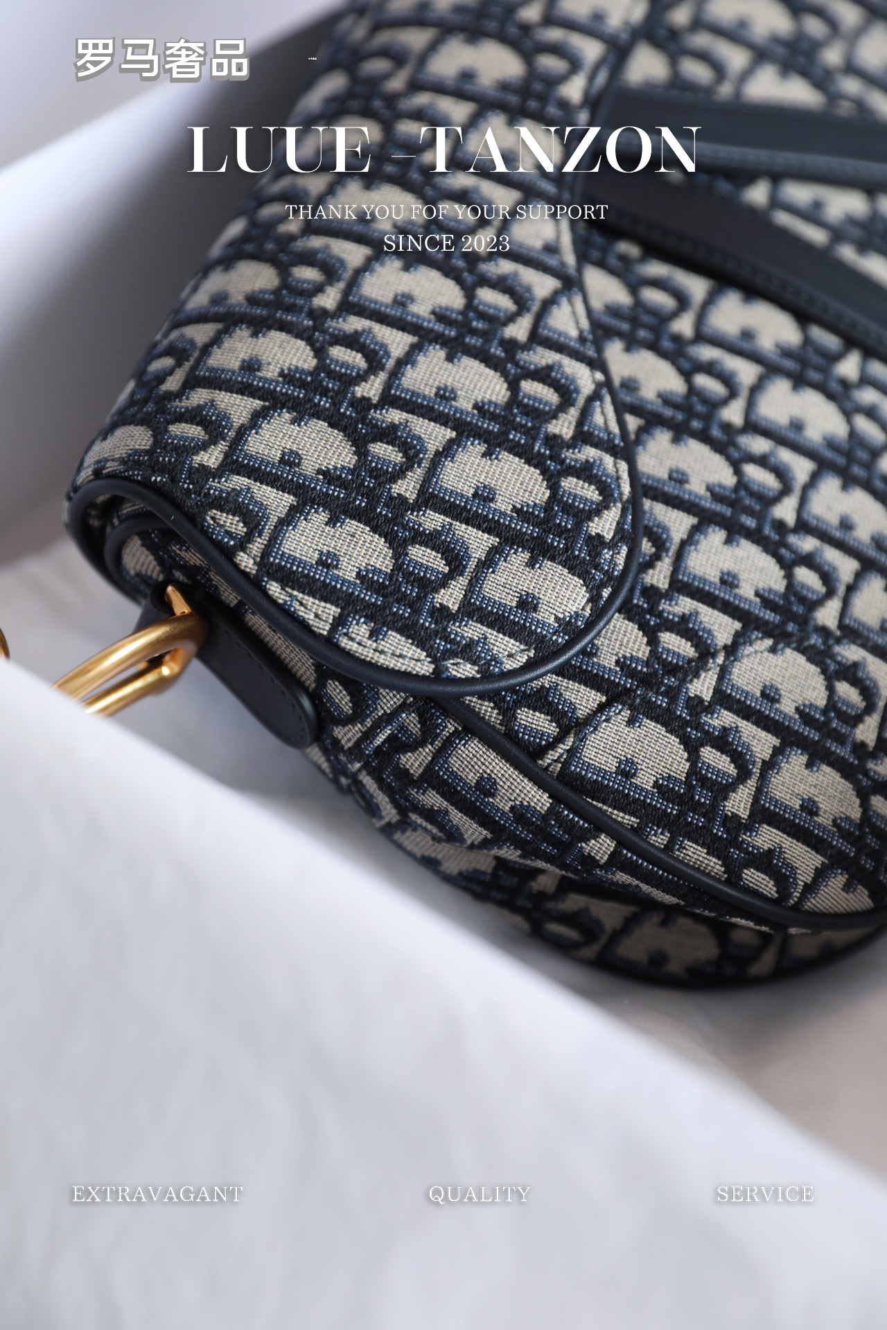 Dior Saddle Bag in Blue Dior Oblique Jacquard