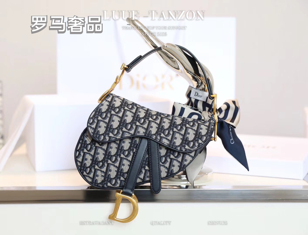 Dior Saddle Bag in Blue Dior Oblique Jacquard