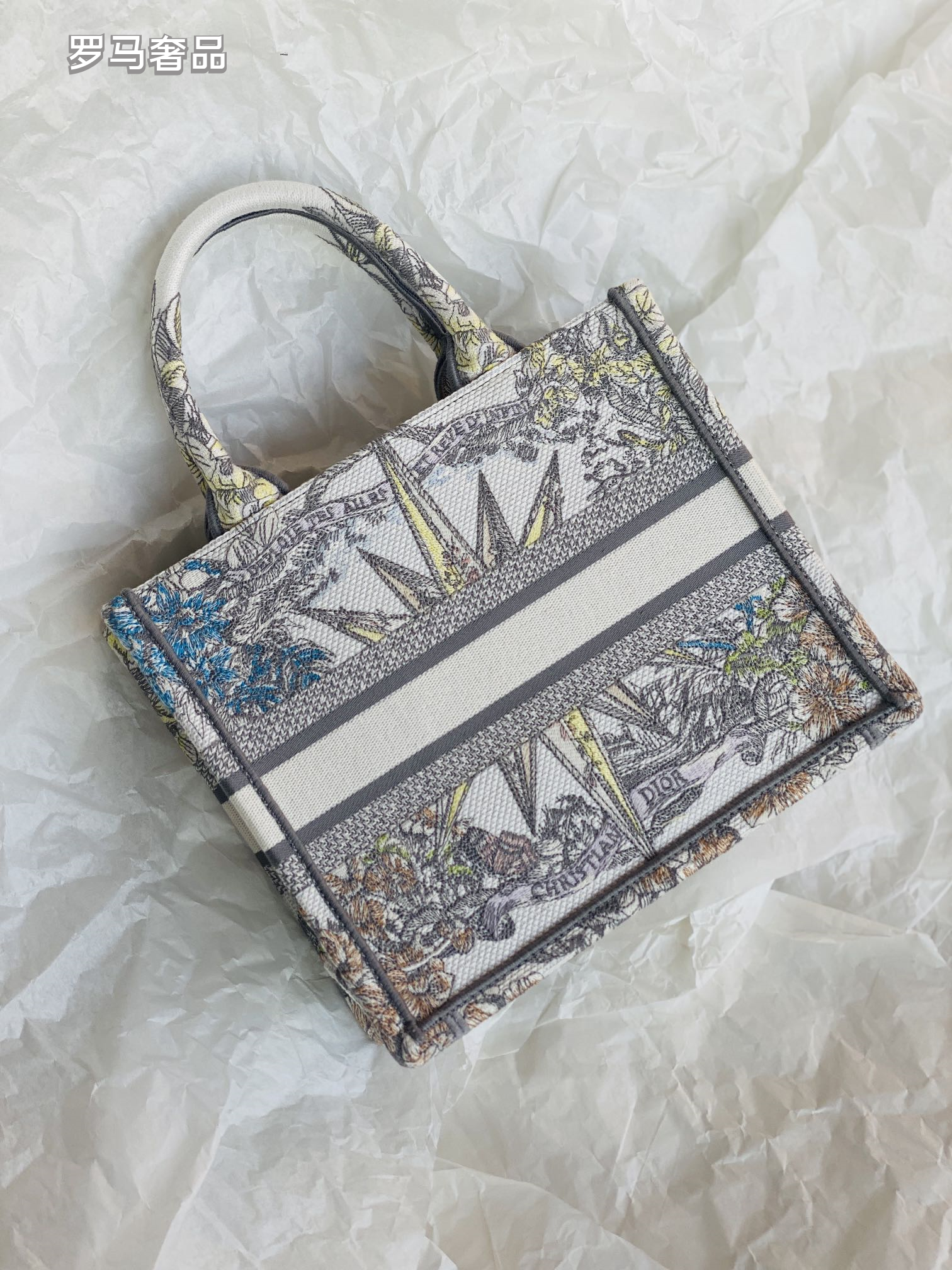 Dior Luxury Embroidered Canvas Tote Bag with Constellation Star Print