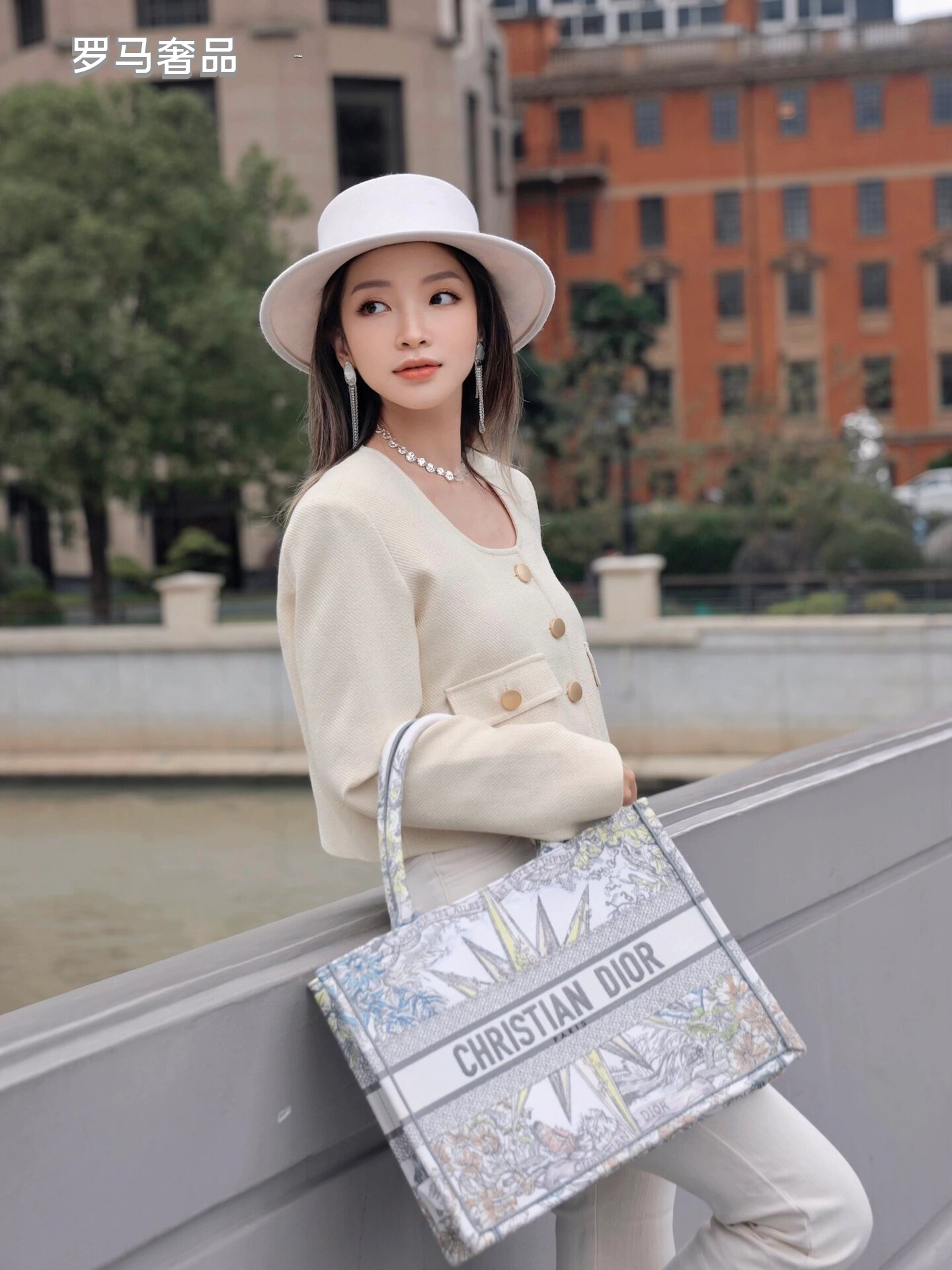 Christian Dior Medium Book Tote - White and Multicolor Constellation Embroidered Canvas