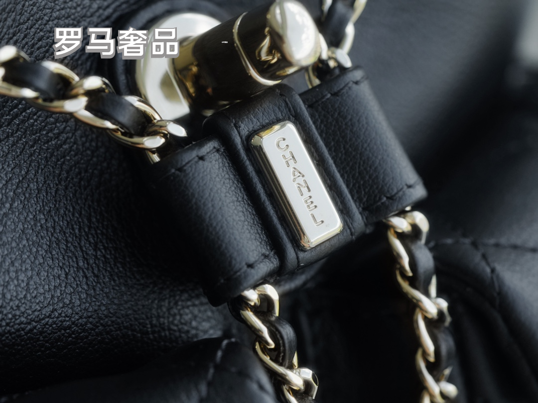 Chanel Quilted Lambskin Duma Backpack - Black with Gold-Tone Hardware
