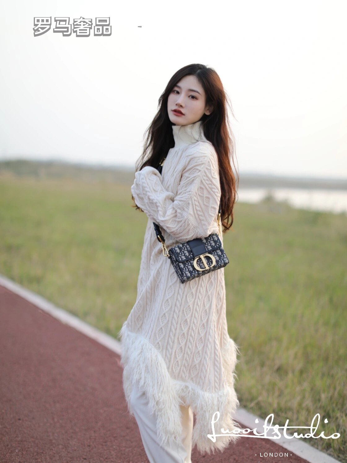 Christian Dior 30 Montaigne Bag in Blue Dior Oblique Jacquard