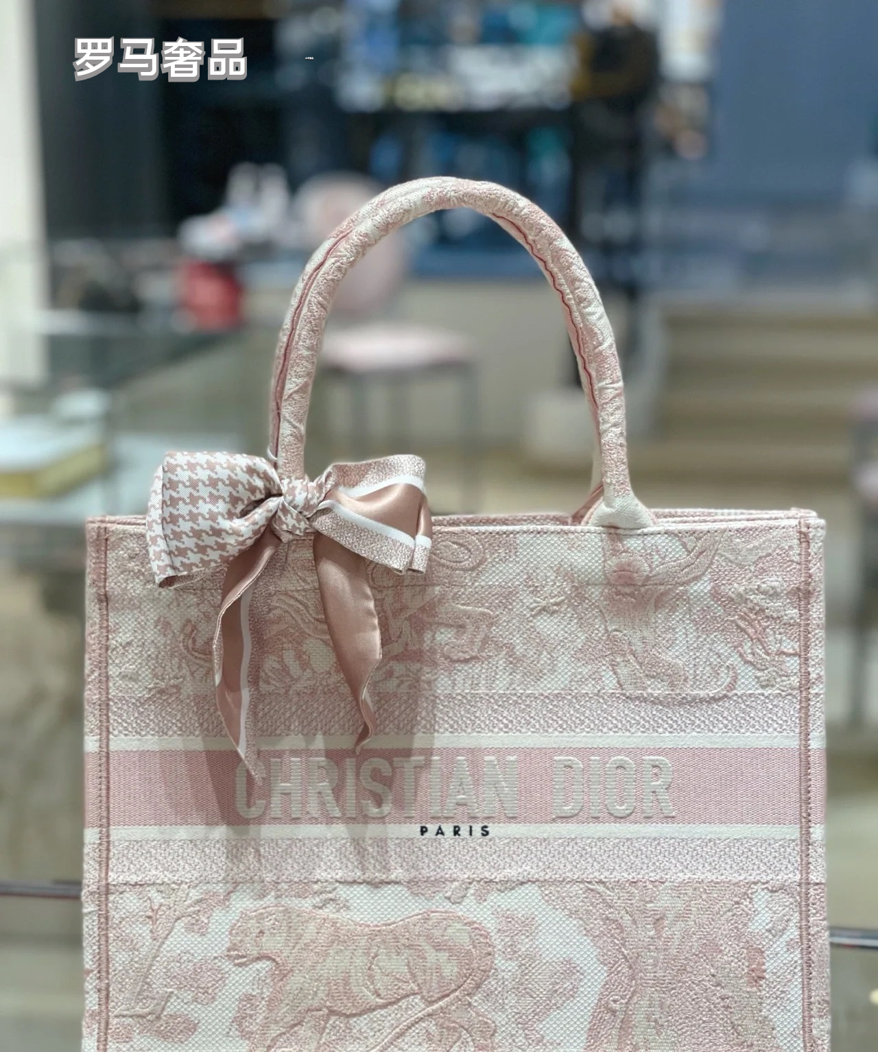 Christian Dior Small Book Tote Bag - Pink Toile de Jouy Embroidery