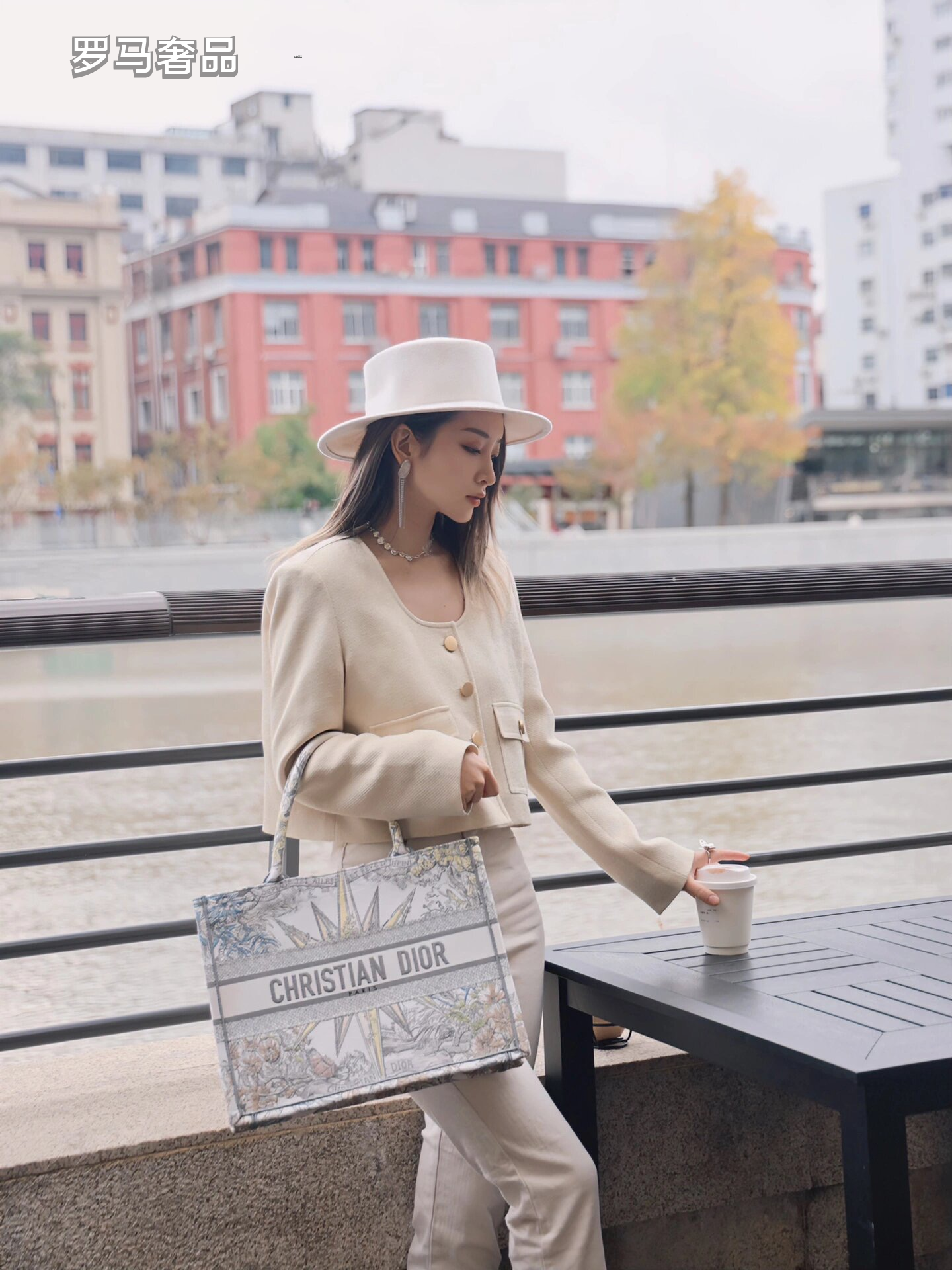 Christian Dior Medium Book Tote - White and Multicolor Constellation Embroidered Canvas