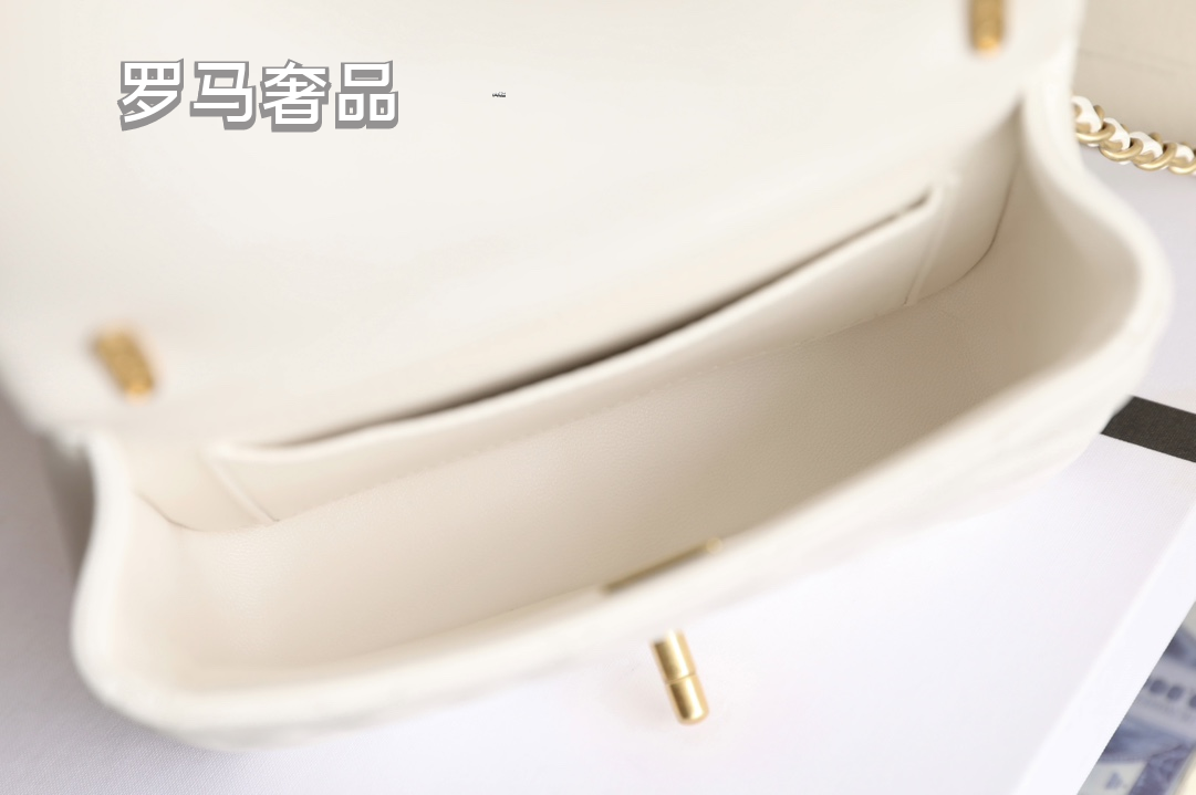 Elegant White Quilted Leather Mini Flap Shoulder Bag with Gold-Tone Hardware