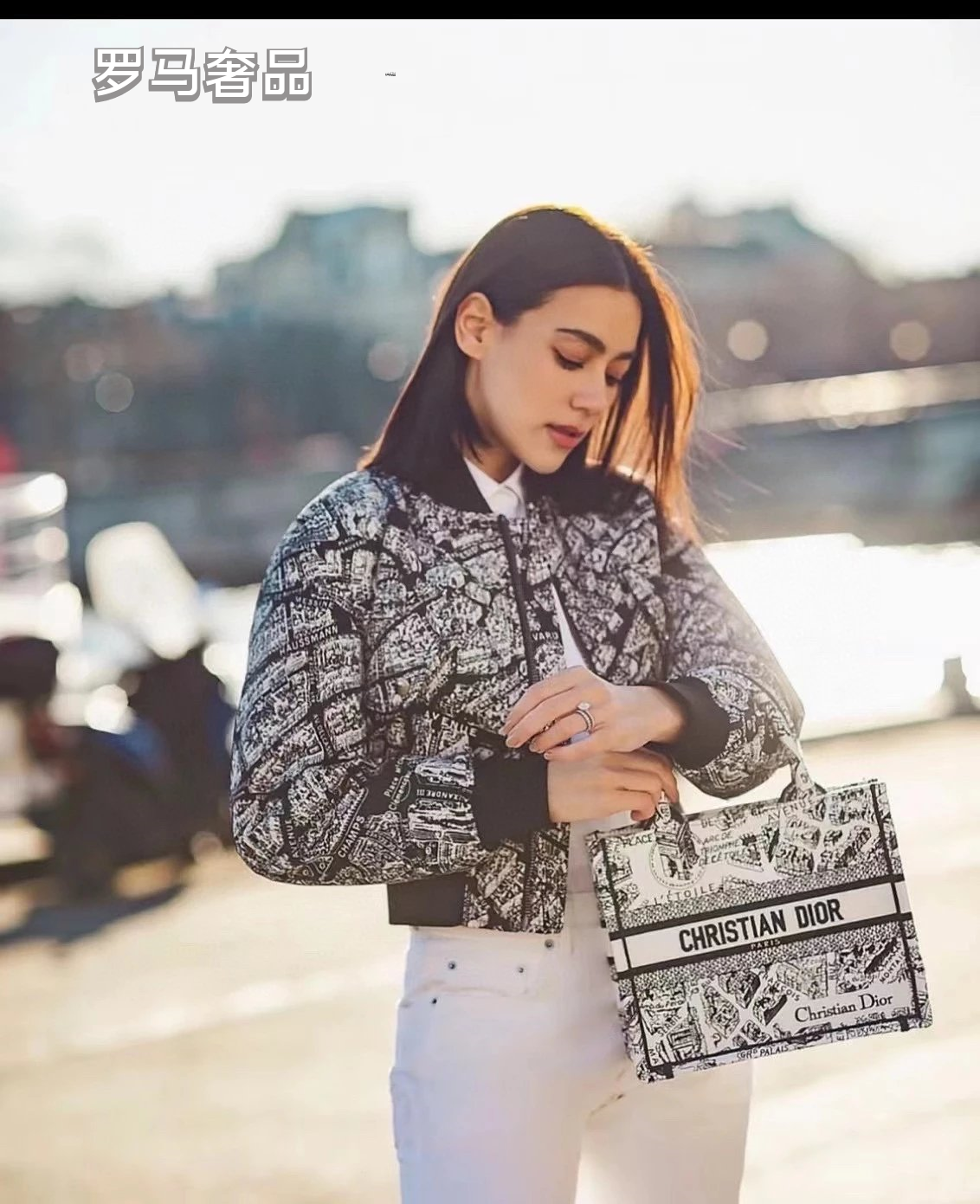 Christian Dior Plan de Paris Book Tote Bag - Black and White Embroidered Canvas