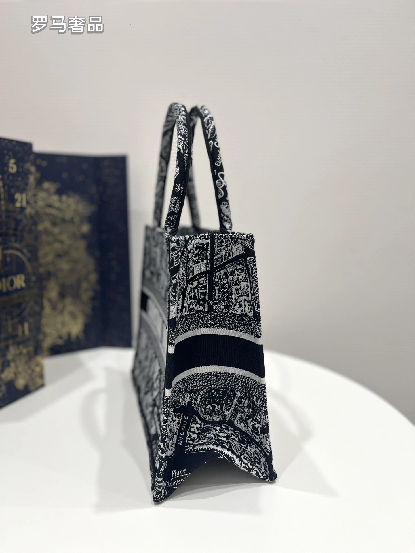Dior Black and White Paris Street Map Embroidered Canvas Tote Bag