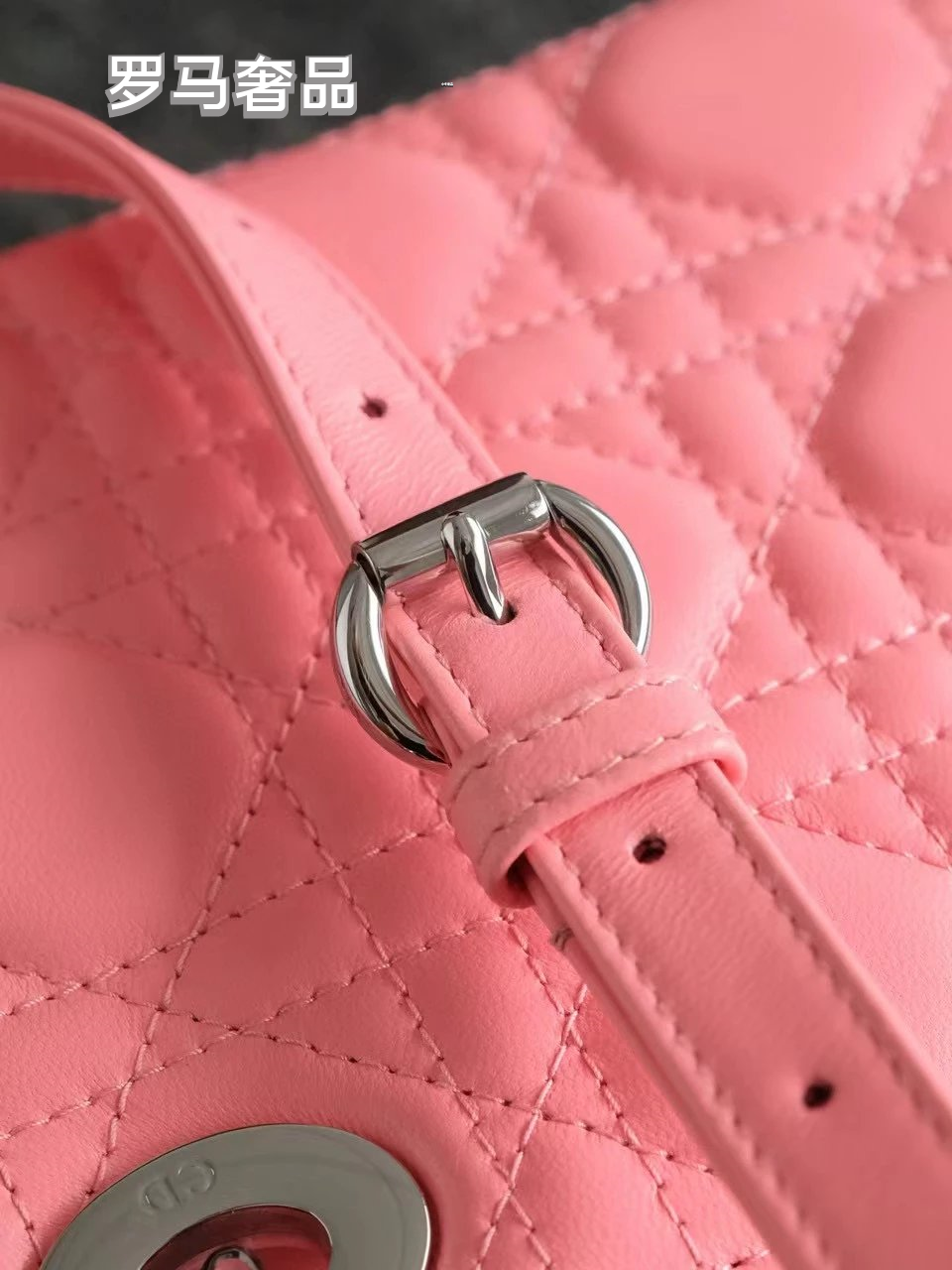 Dior Elegant Pink Quilted Leather Mini Handbag with Top Handle and Strap