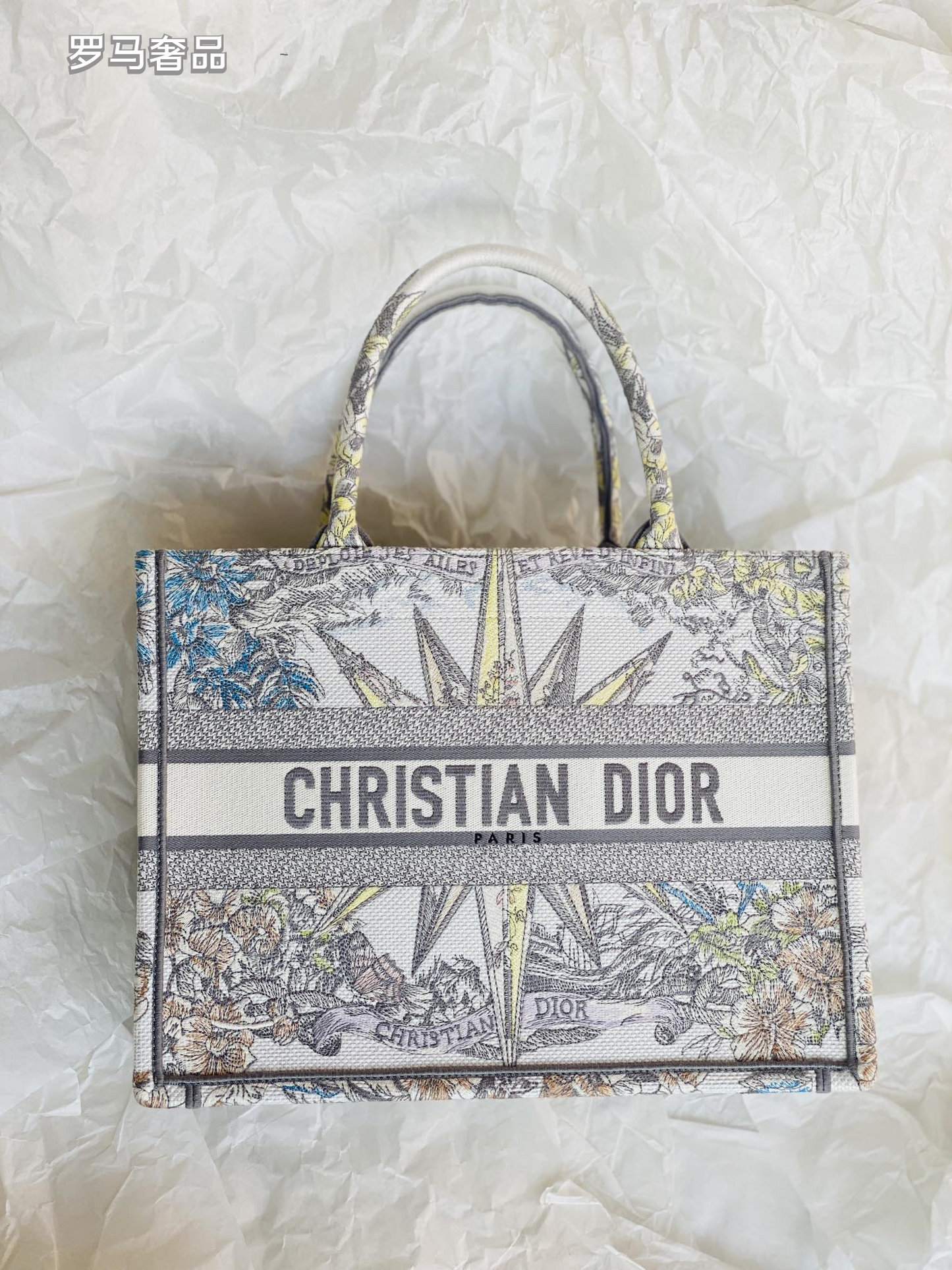 Dior Luxury Embroidered Canvas Tote Bag with Constellation Star Print