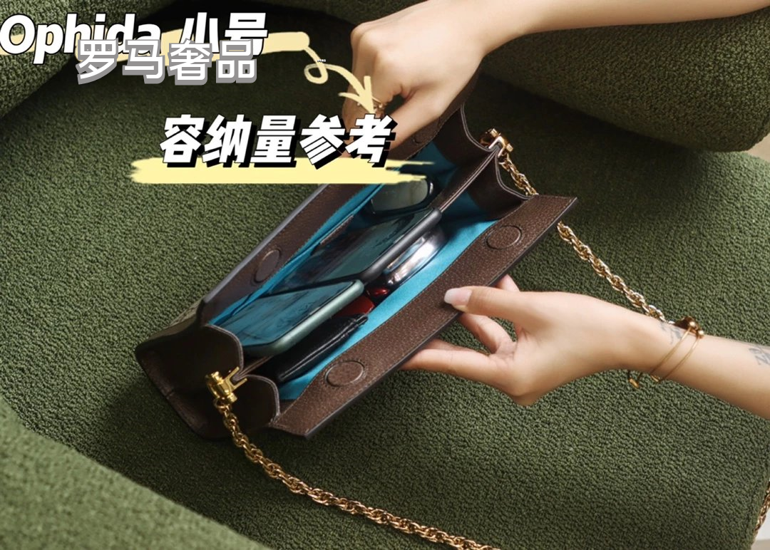 Gucci Ophidia GG Small Shoulder Bag with Web Stripe and Chain Strap