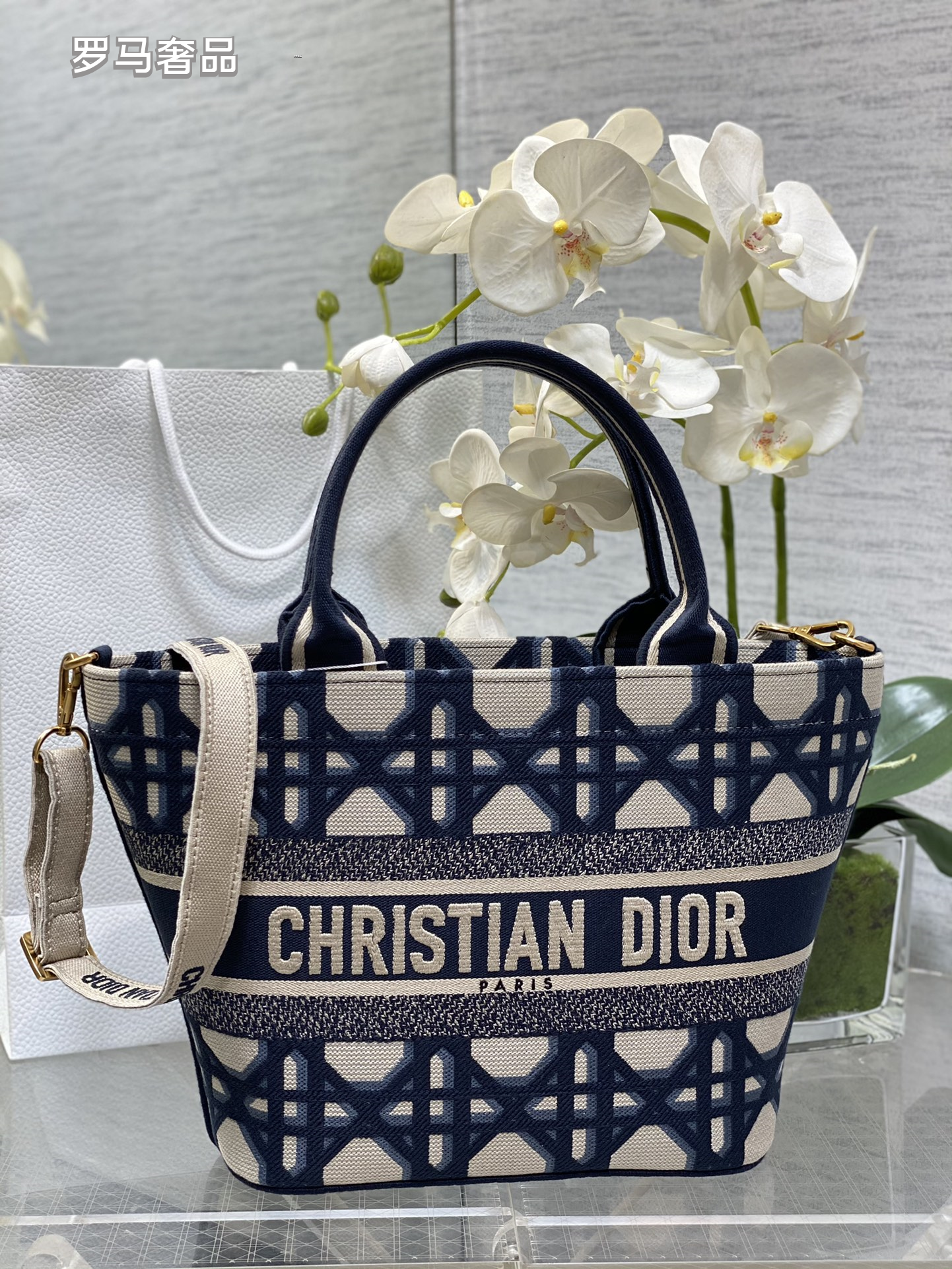 Dior Blue Monogram Canvas Tote Bag with Double Handles and Strap