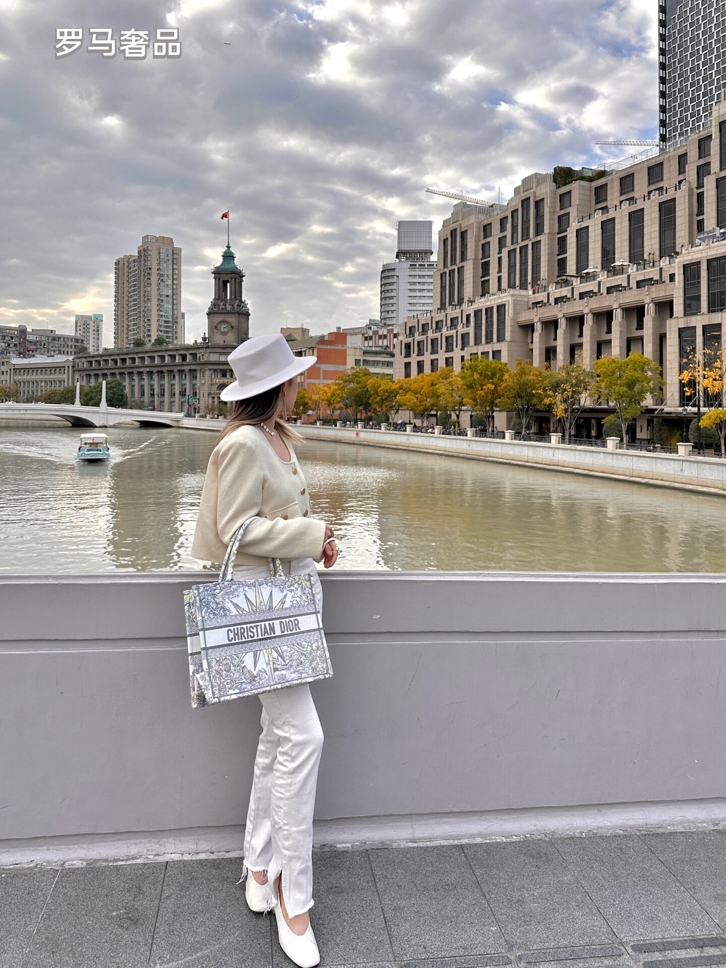 Christian Dior Medium Book Tote - White and Multicolor Constellation Embroidered Canvas