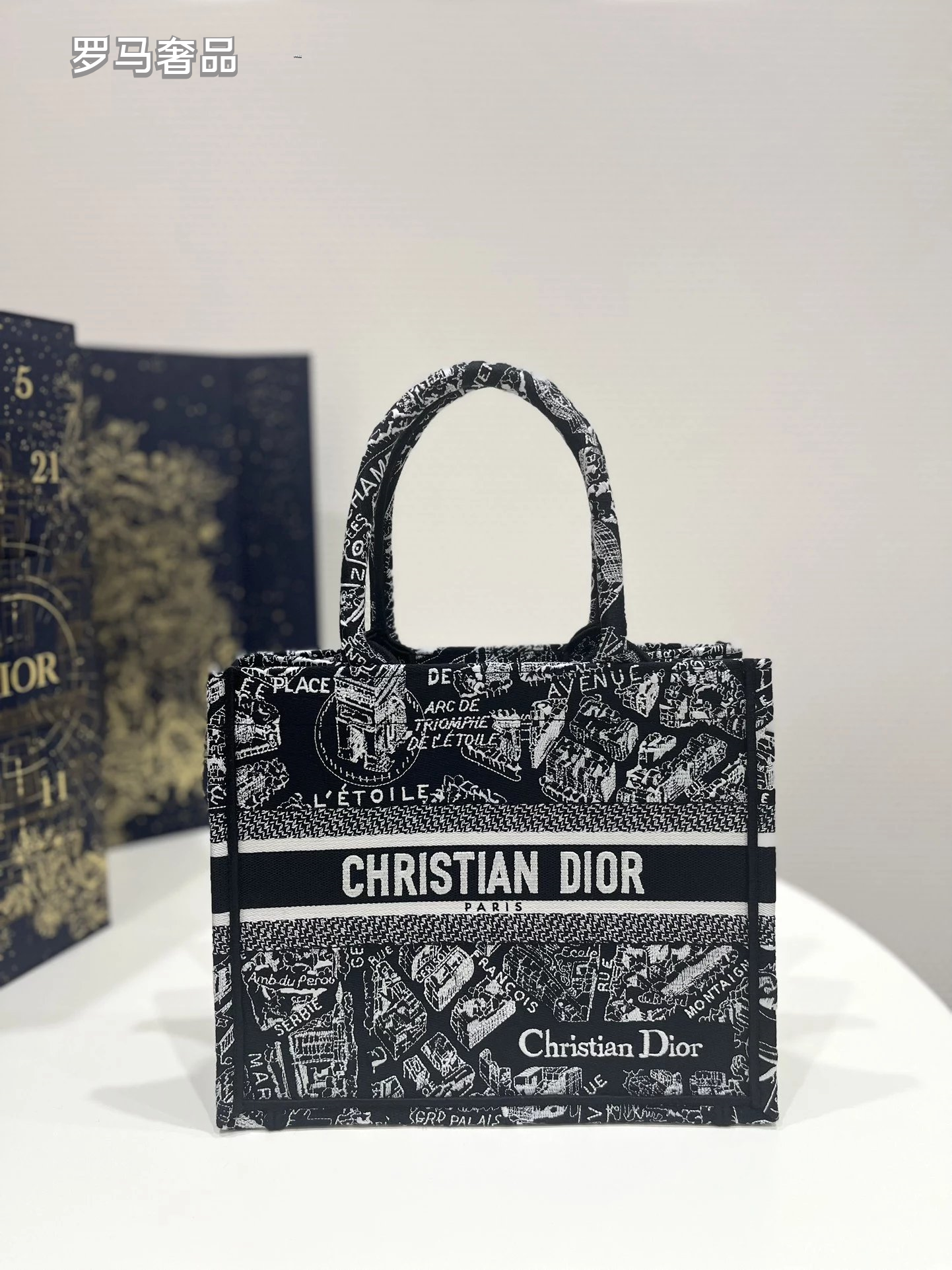 Christian Dior Plan de Paris Book Tote Bag - Black and White Embroidered Canvas