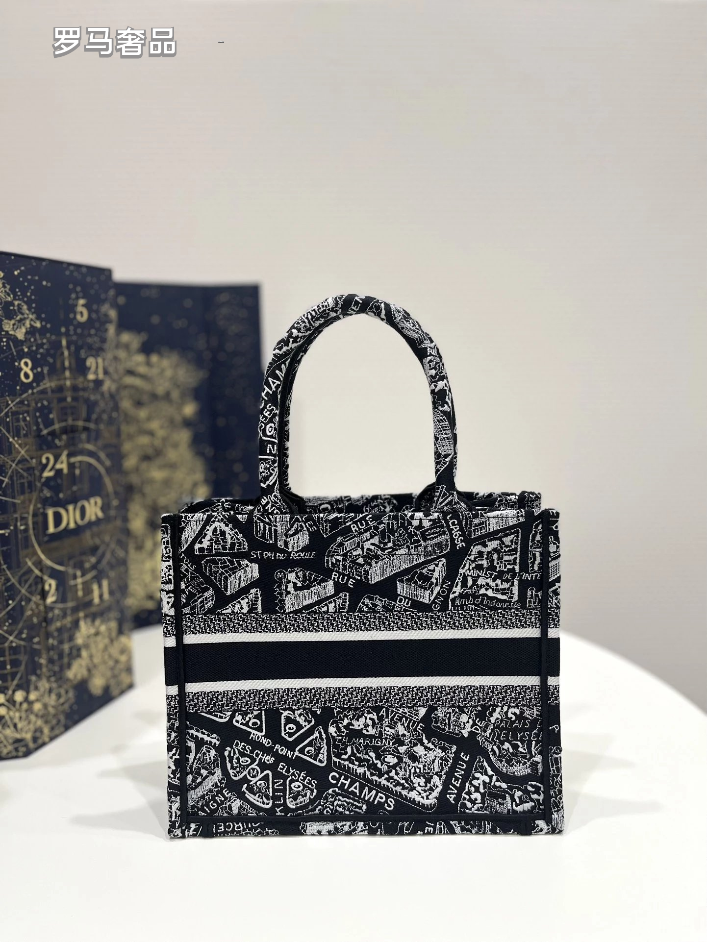 Christian Dior Plan de Paris Book Tote Bag - Black and White Embroidered Canvas