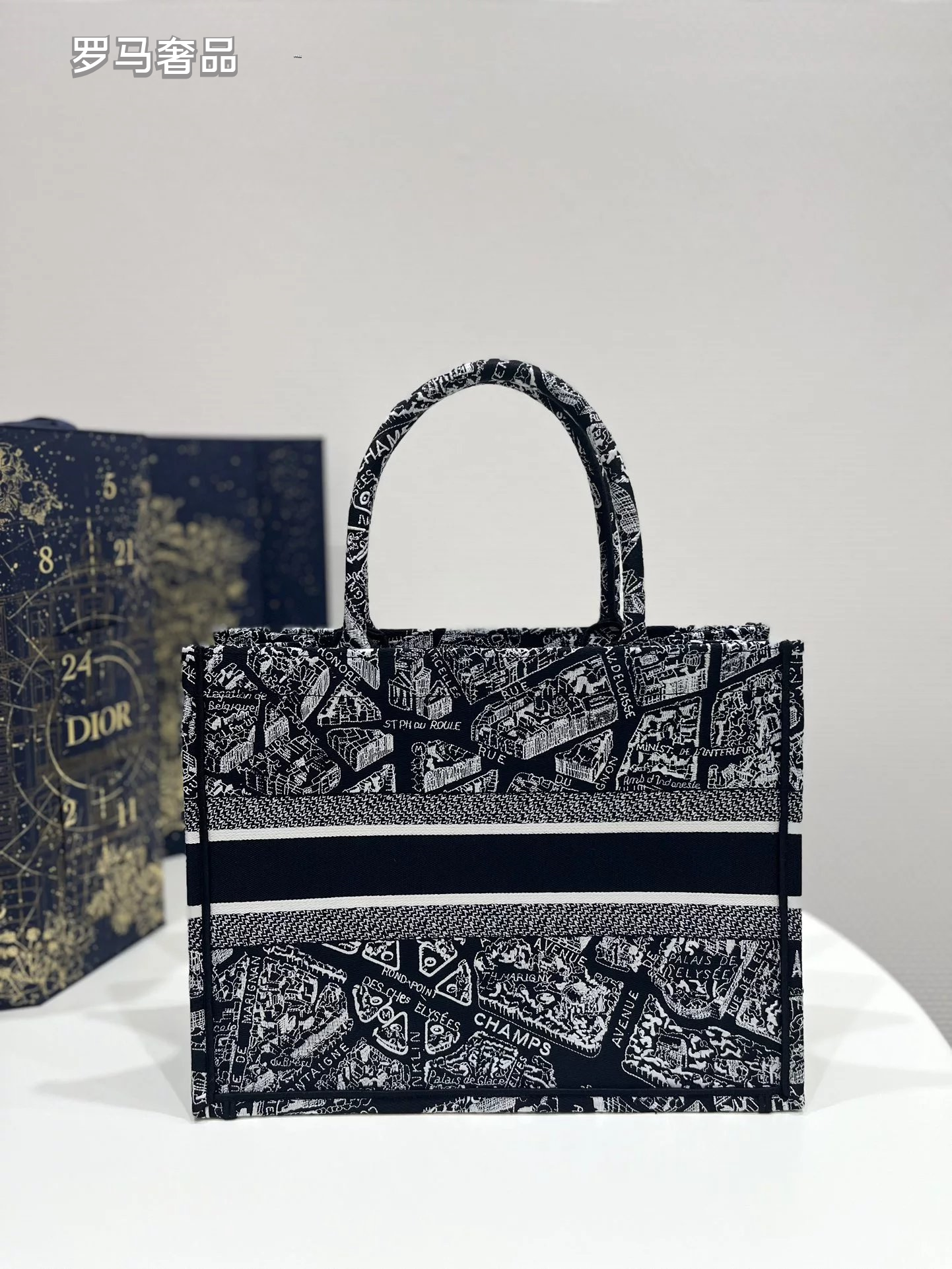 Christian Dior Plan de Paris Book Tote Bag - Black and White Embroidered Canvas