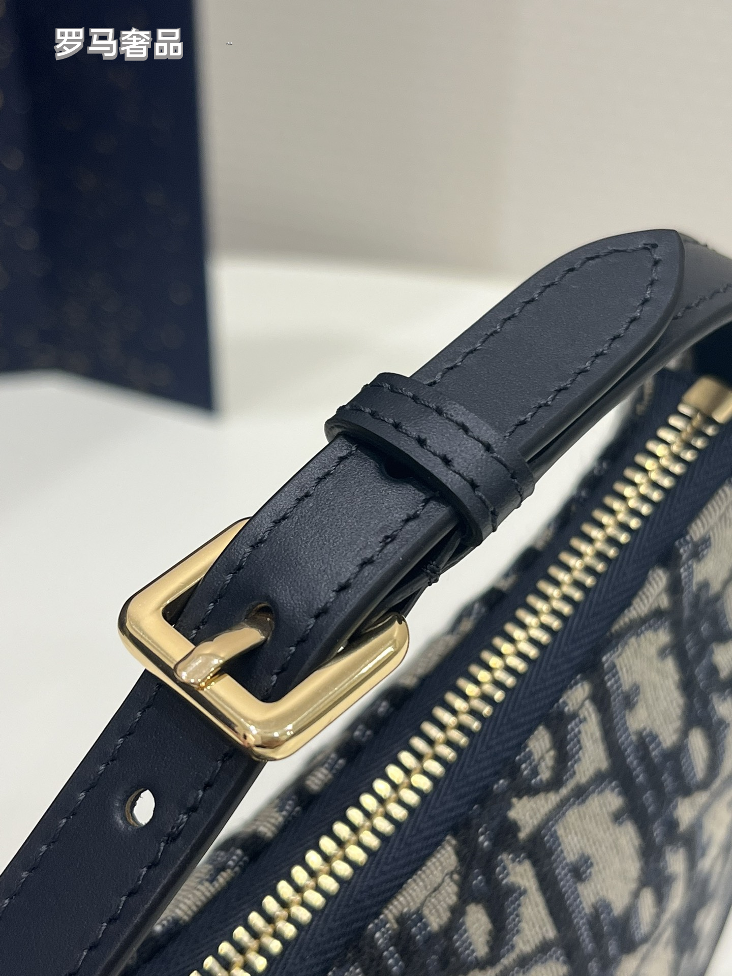 Dior Small Hobo Bag Blue Oblique Jacquard Canvas Shoulder Bag